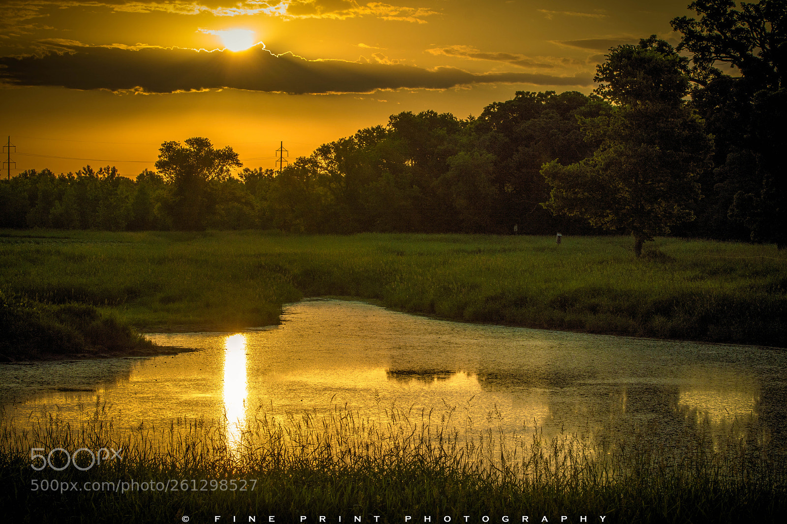 Nikon D3200 sample photo. "on golden pond" (2018) photography