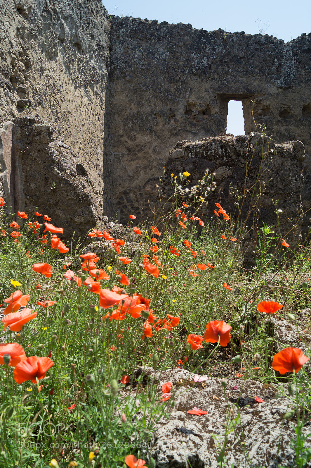 Sony SLT-A58 sample photo. Pompei ruins photography