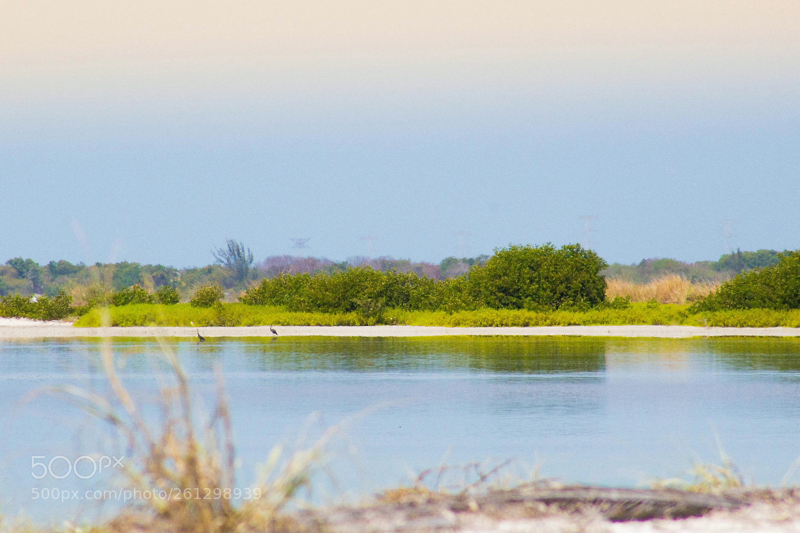 Canon EOS 1200D (EOS Rebel T5 / EOS Kiss X70 / EOS Hi) sample photo. Refugio de aves photography
