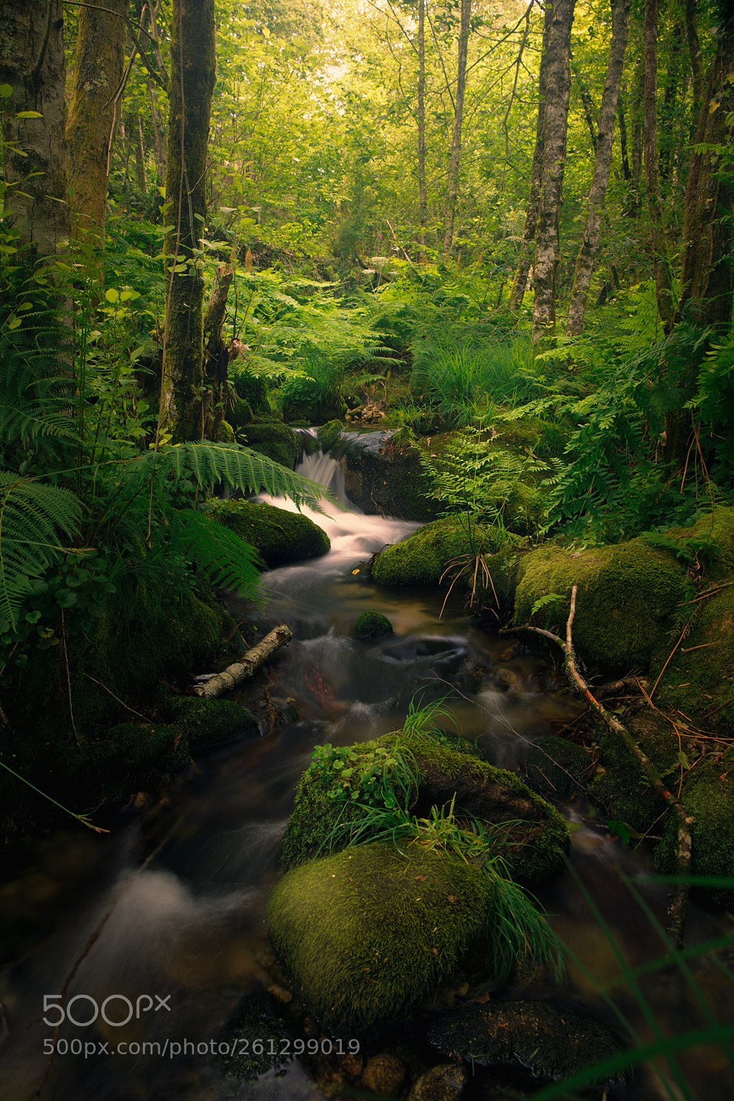 Canon EOS 6D sample photo. Tripes river photography