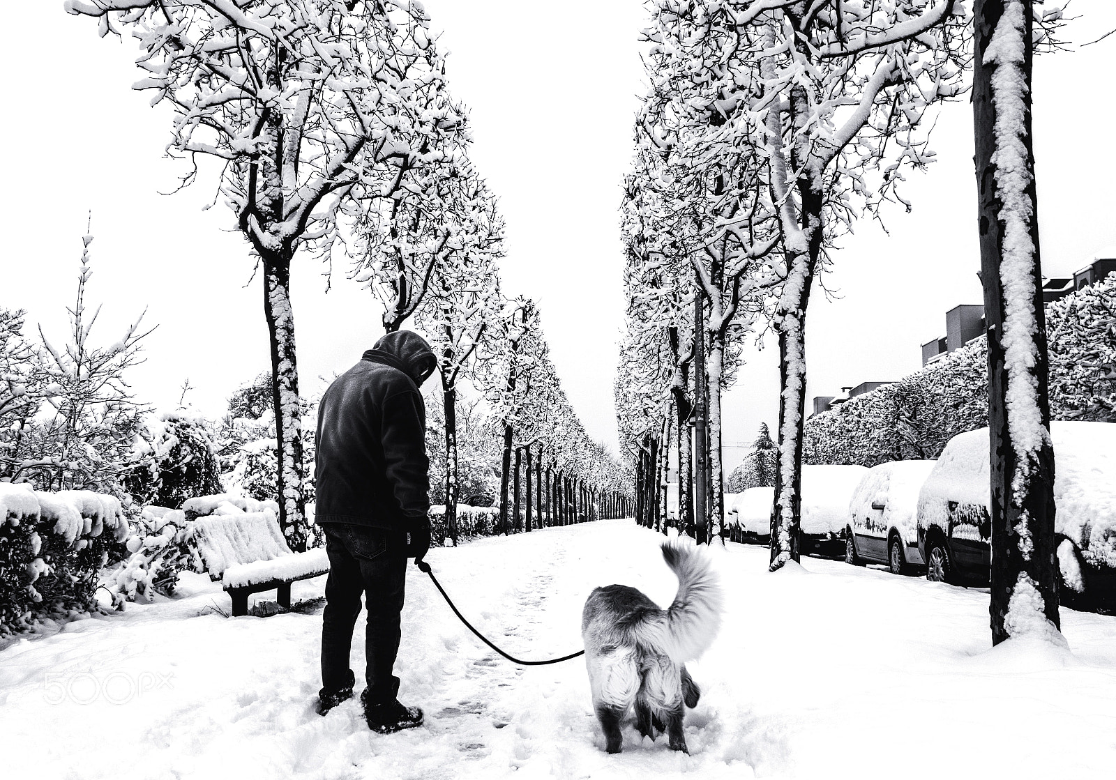 Canon EOS 70D sample photo. Promeneur inconnu photography