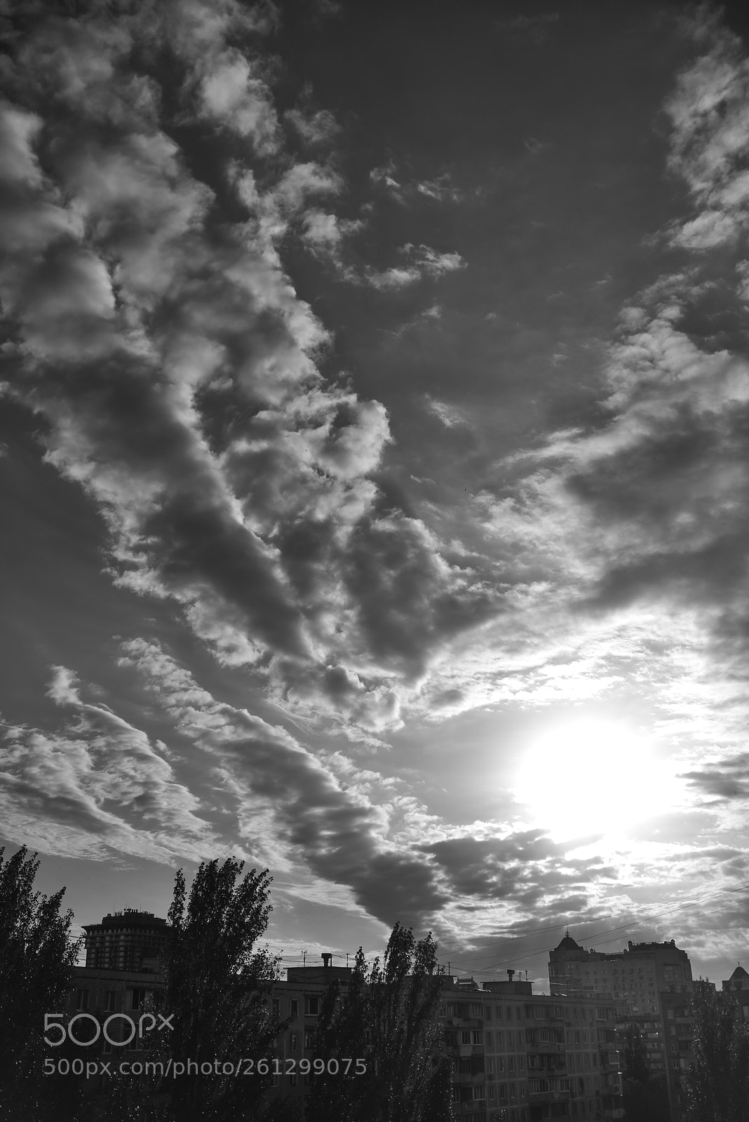 Nikon D800 sample photo. Kiev photography