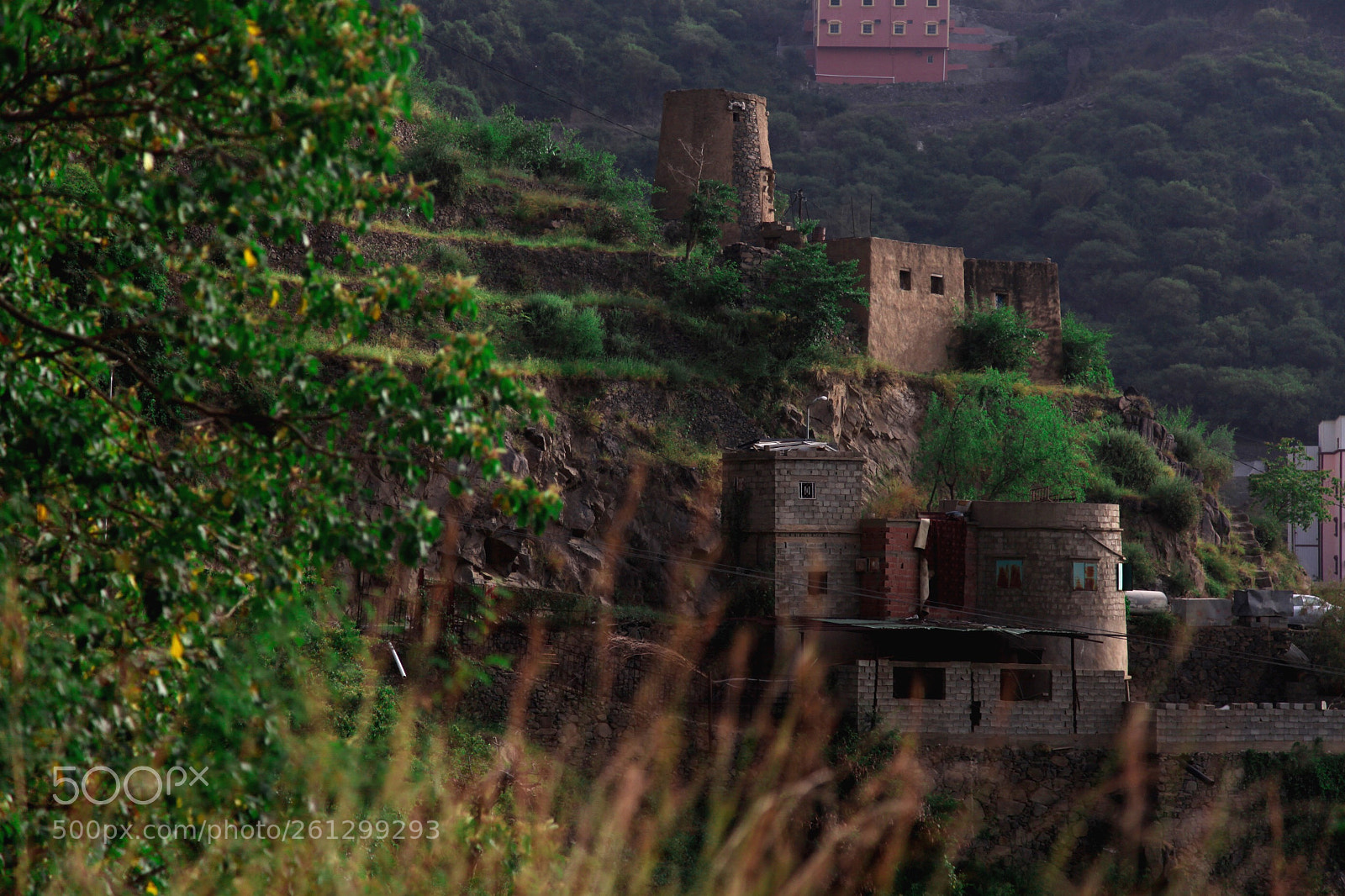 Canon EOS 5D Mark II sample photo. Untitled photography
