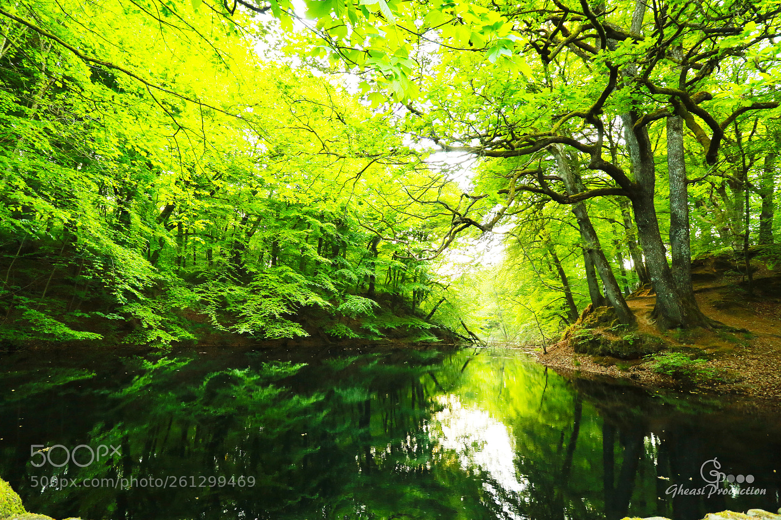 Canon EOS 7D Mark II sample photo. Lake photography