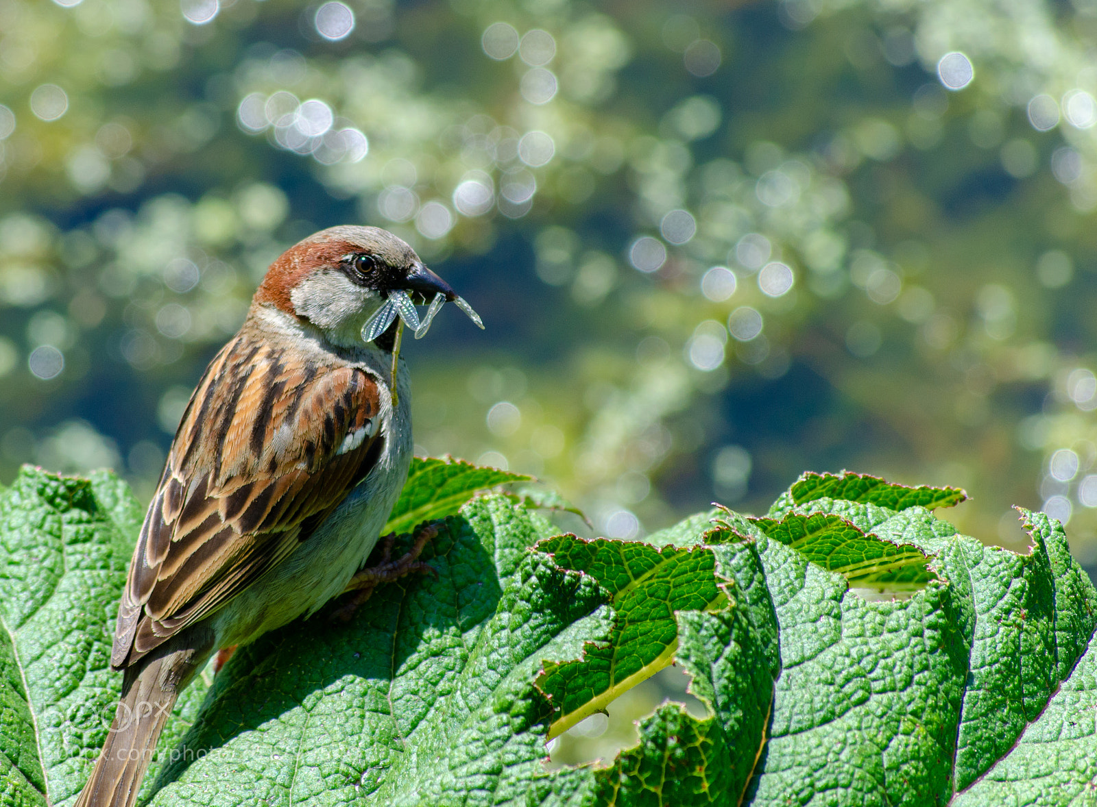 Nikon D5100 sample photo. Don't talk with your photography