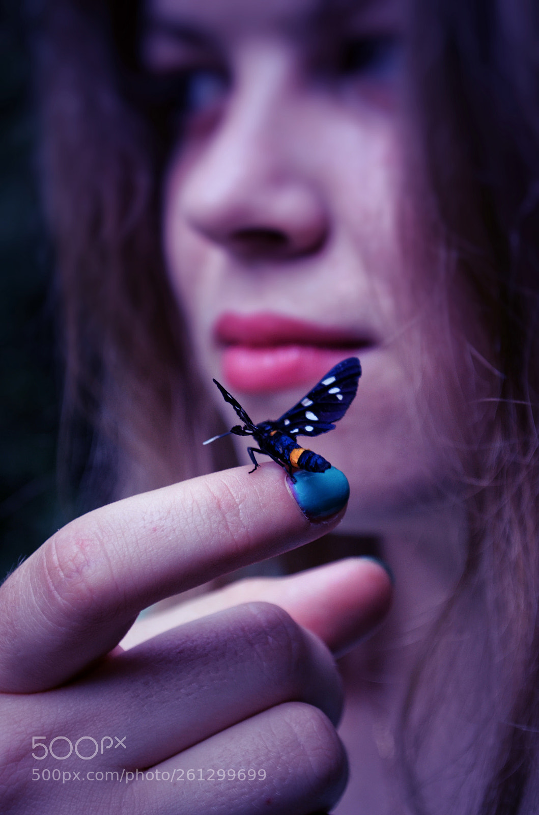 Nikon D5100 sample photo. Little butterfly photography