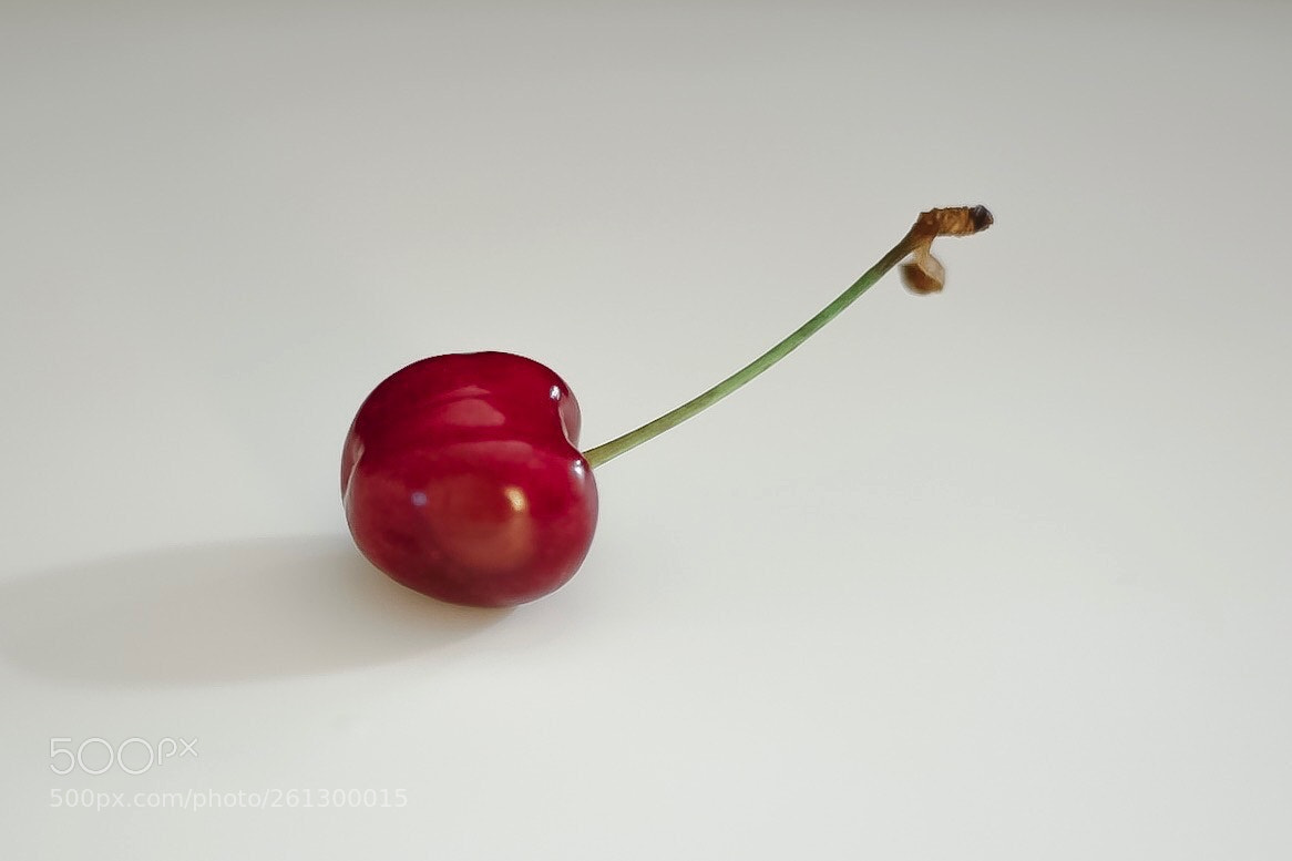 Canon EOS 5D Mark II sample photo. Untitled photography