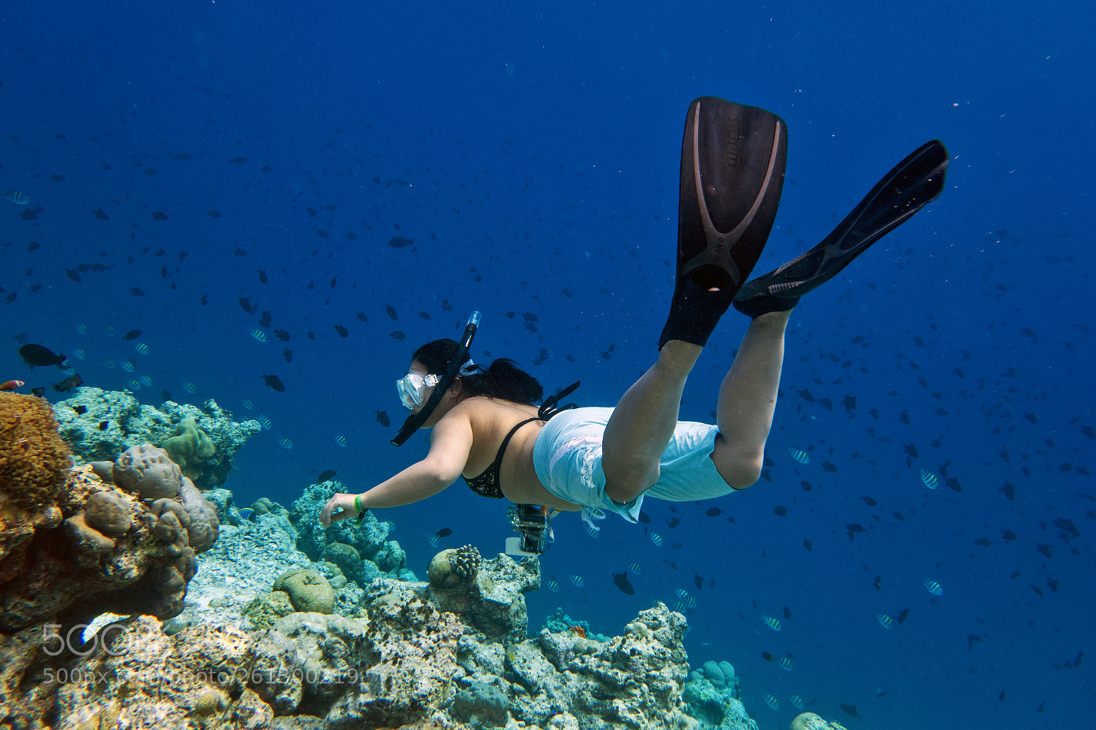 Sony Cyber-shot DSC-RX100 II sample photo. Reef exploration photography