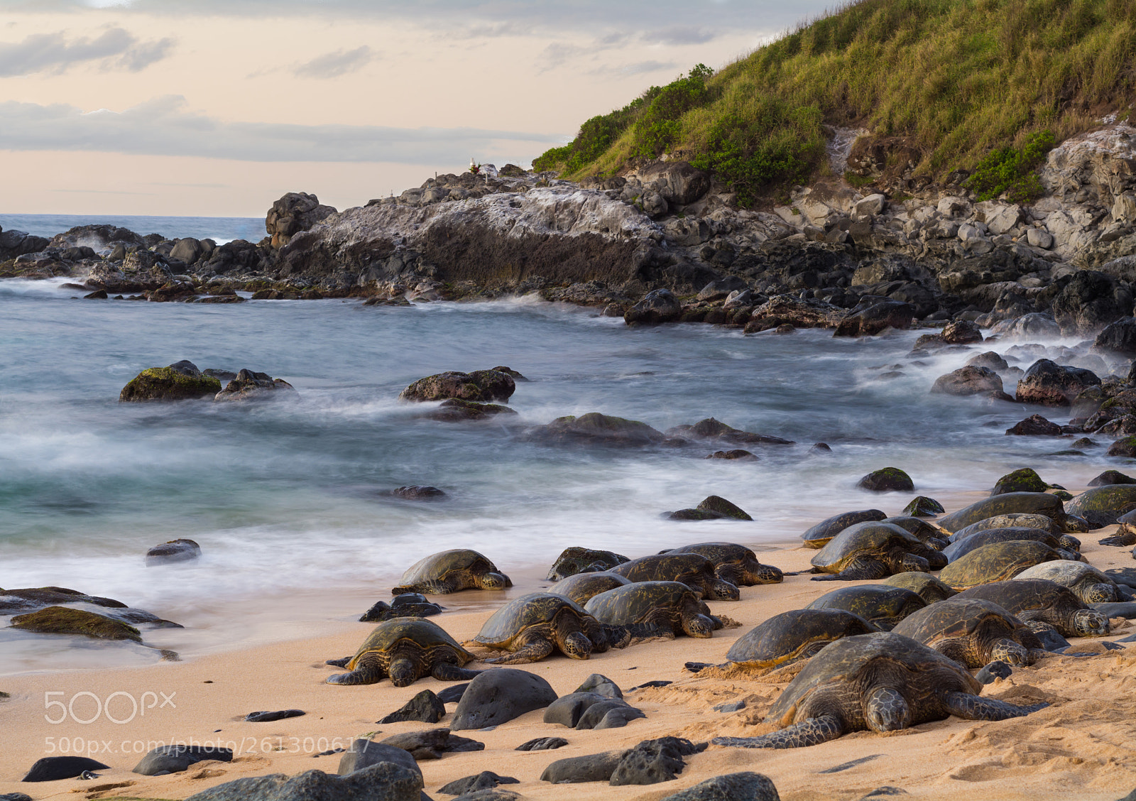 Nikon D7100 sample photo. Ethereal turtle beach photography