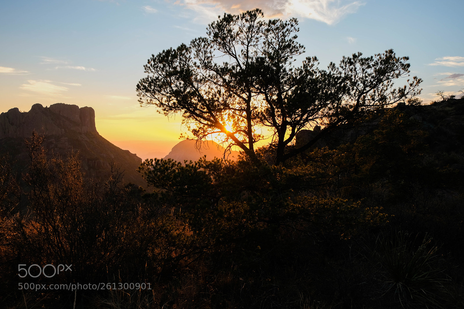 Fujifilm X-T2 sample photo. Desert sunset photography