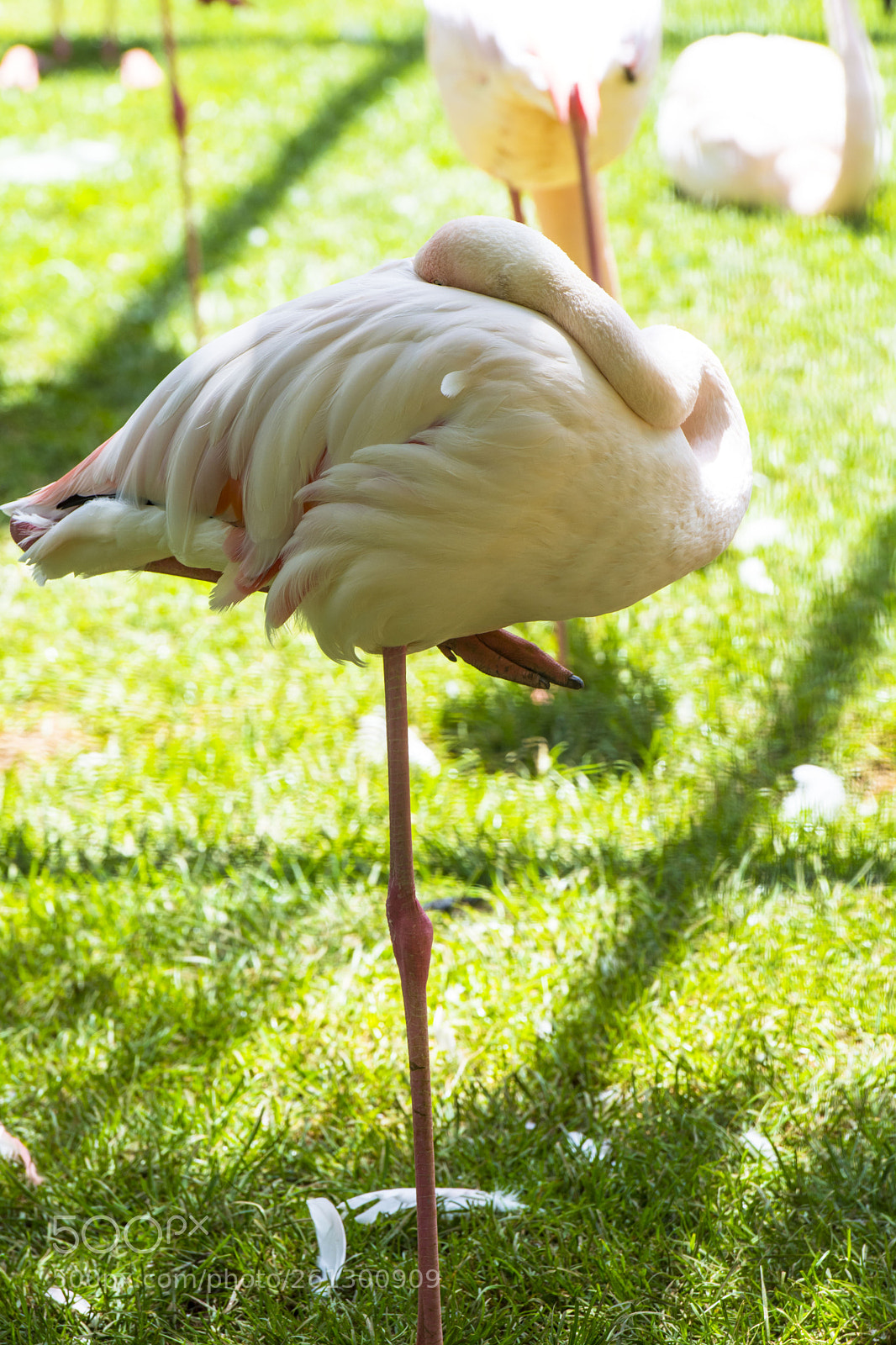 Nikon D7100 sample photo. Untitled photography
