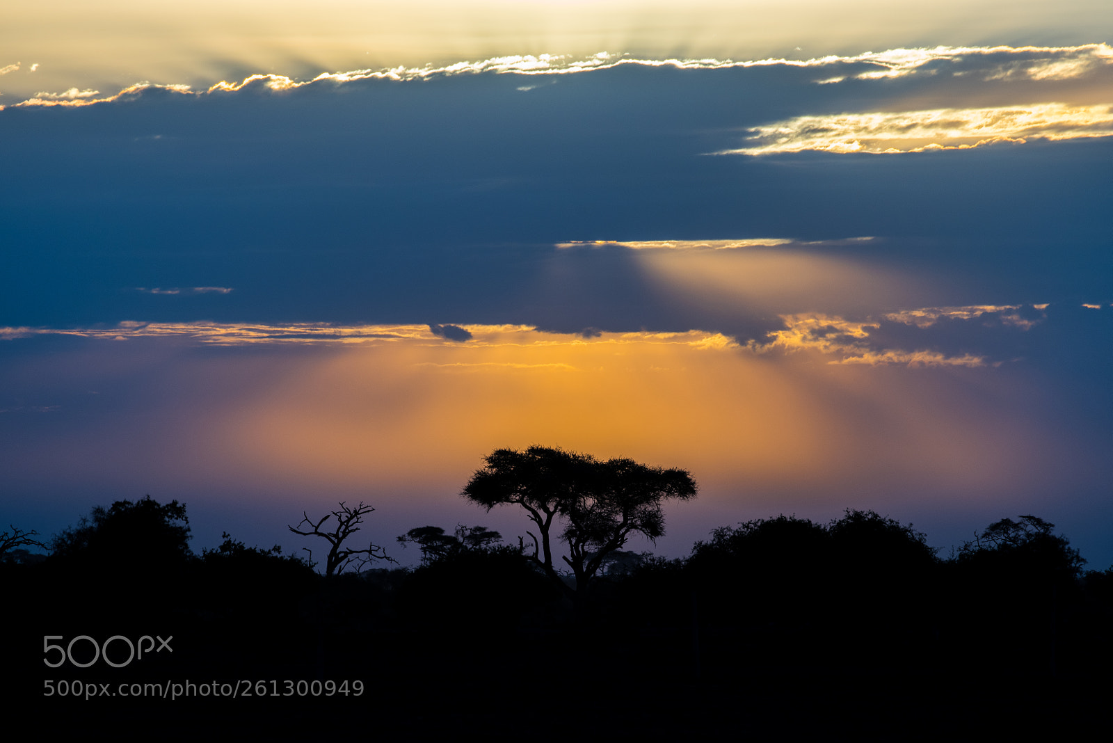 Nikon D810 sample photo. Serengeti sunset photography
