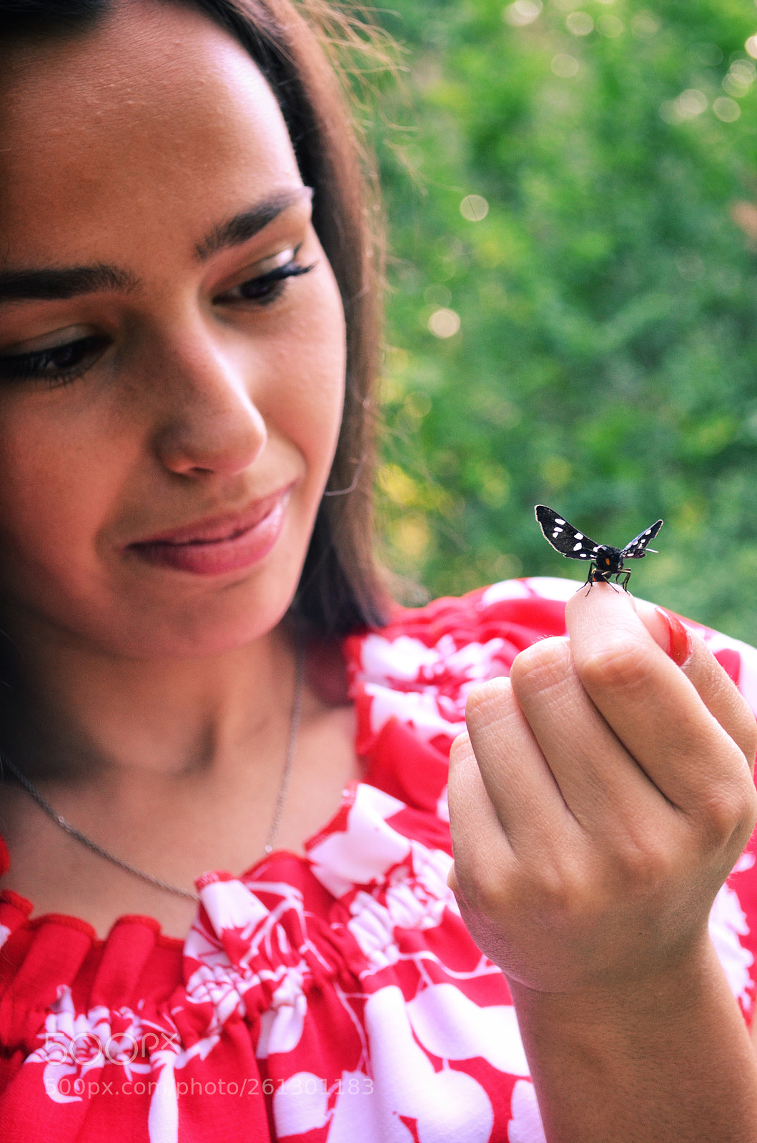 Nikon D5100 sample photo. Butterfly photography