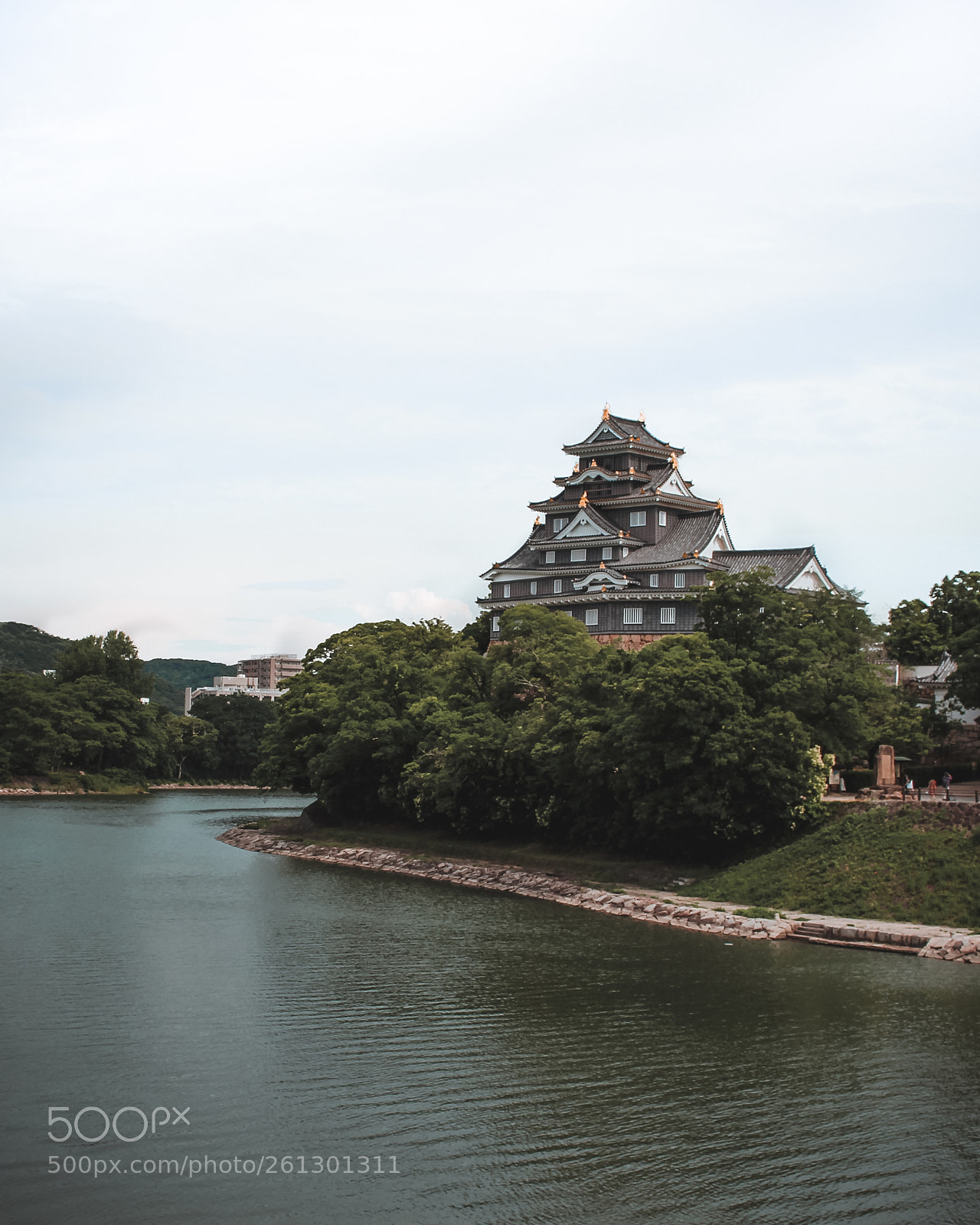Canon EOS 700D (EOS Rebel T5i / EOS Kiss X7i) sample photo. Okayama castle photography
