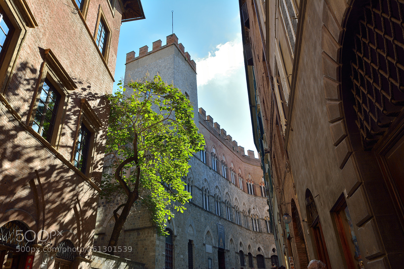 Nikon D7100 sample photo. Siena photography