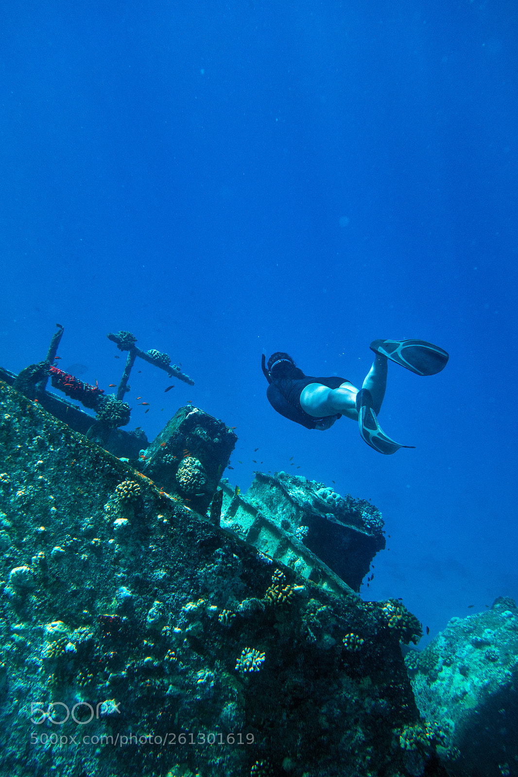Sony Cyber-shot DSC-RX100 II sample photo. Shipwreck inspection photography