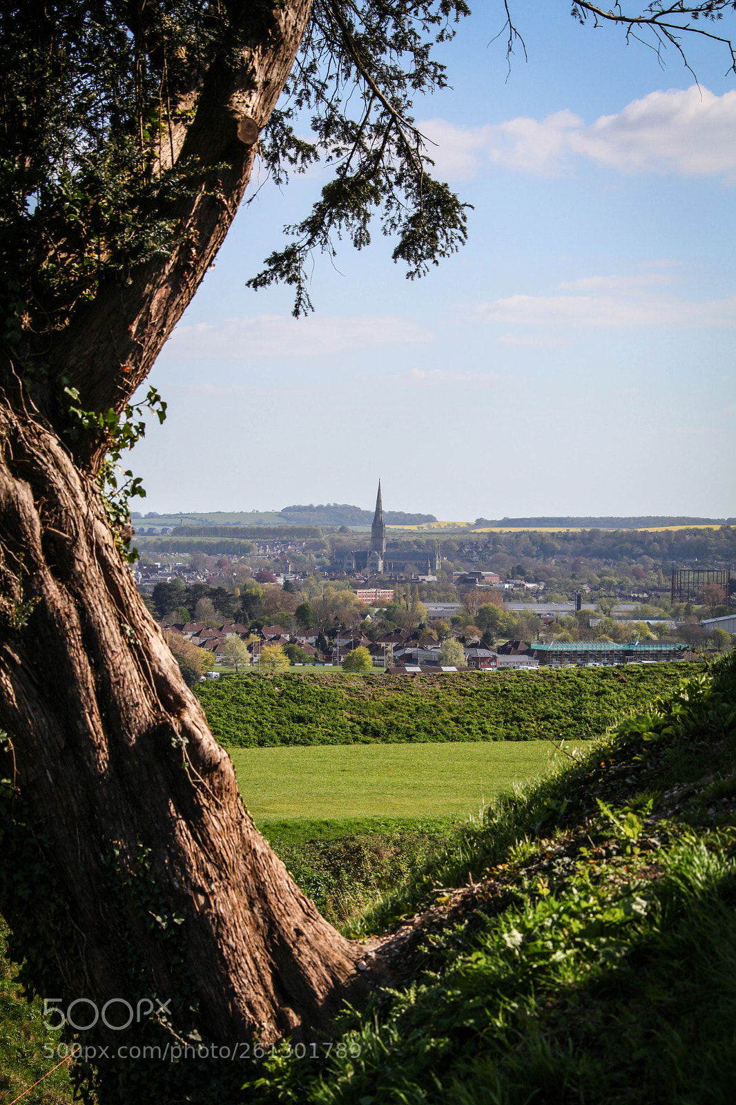 Canon EOS 5D Mark II sample photo. Salisbury cathedral photography