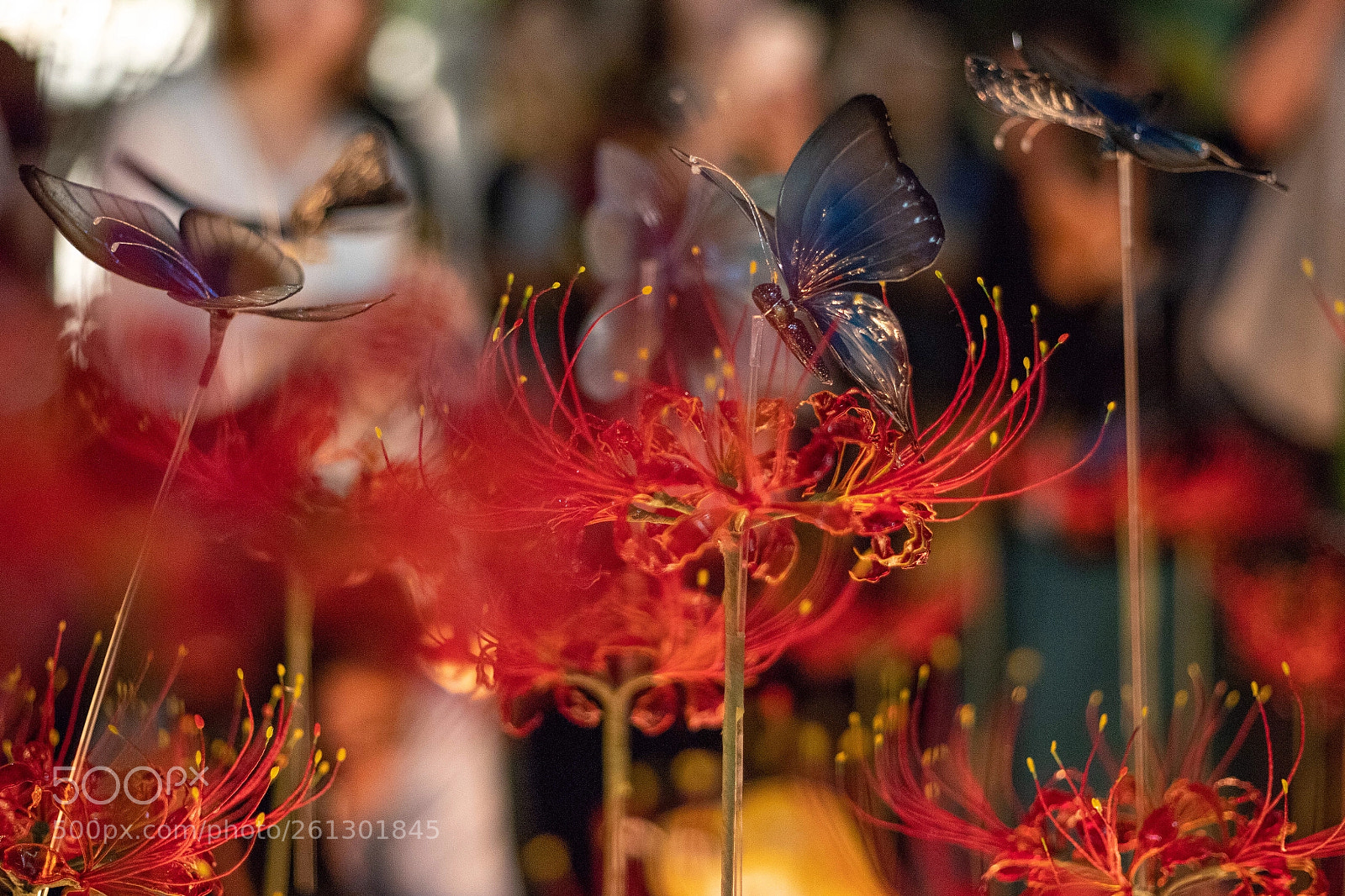 Canon EOS 6D Mark II sample photo. Candle night photography