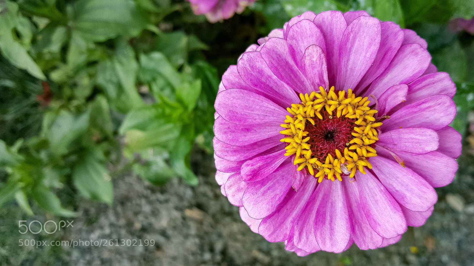 Samsung Galaxy S6 sample photo. 20161225_180130-3.jpg photography