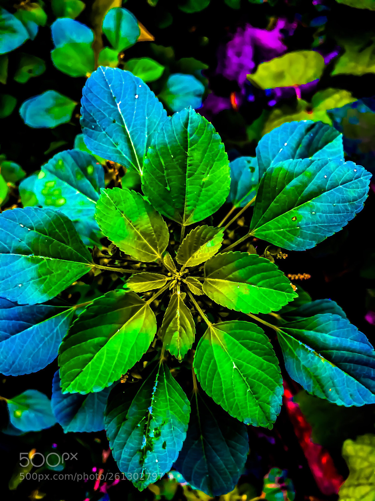 Apple iPhone 5s sample photo. Brighten colours  photography