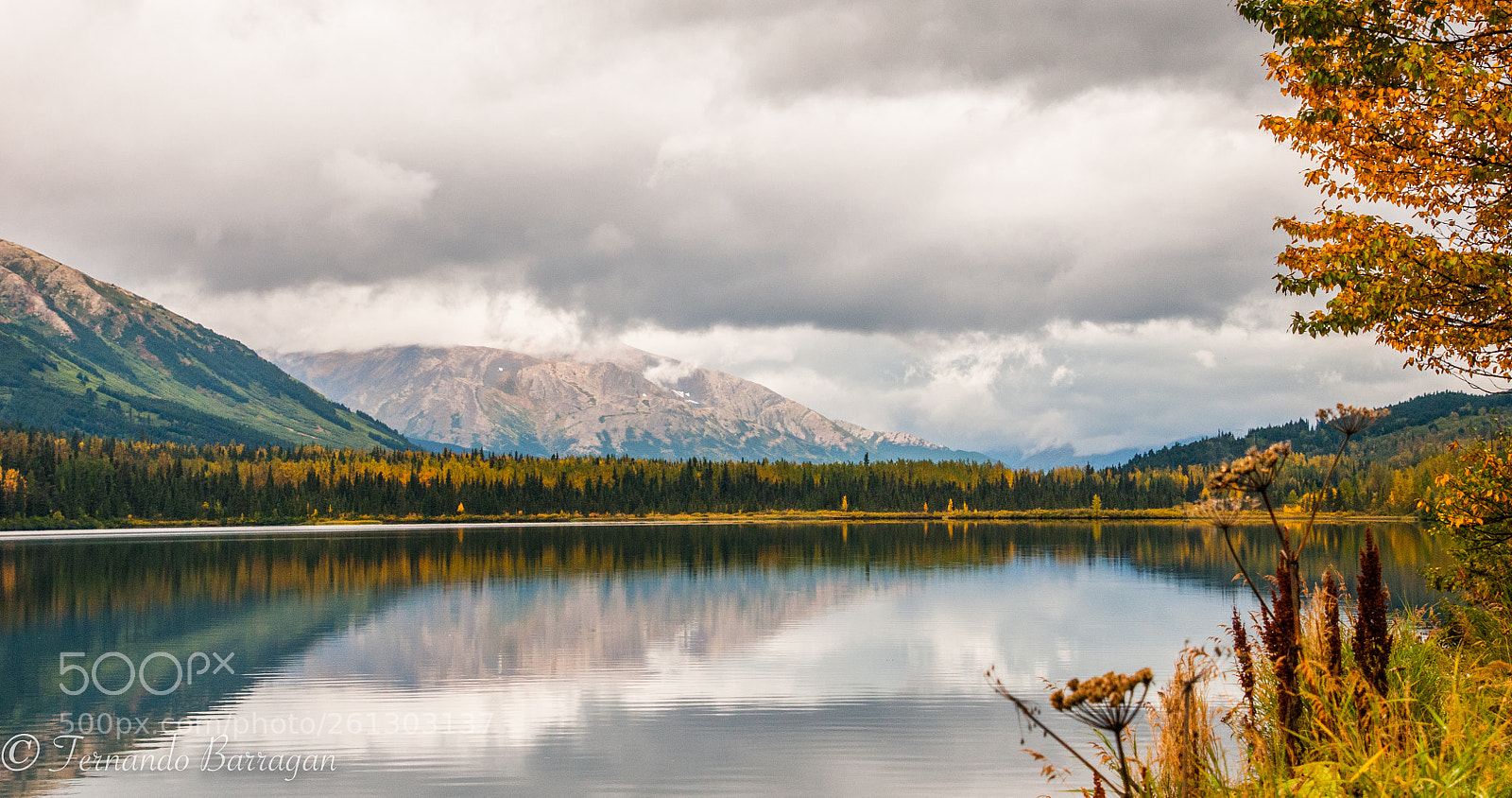 Nikon D300S sample photo. Lago alaska photography
