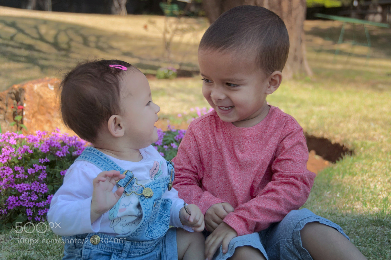 Nikon D300 sample photo. Untitled photography