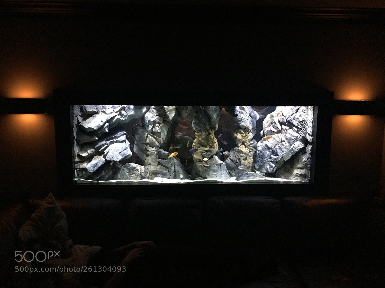 Apple iPhone 6s Plus sample photo. 1389.jpg photography