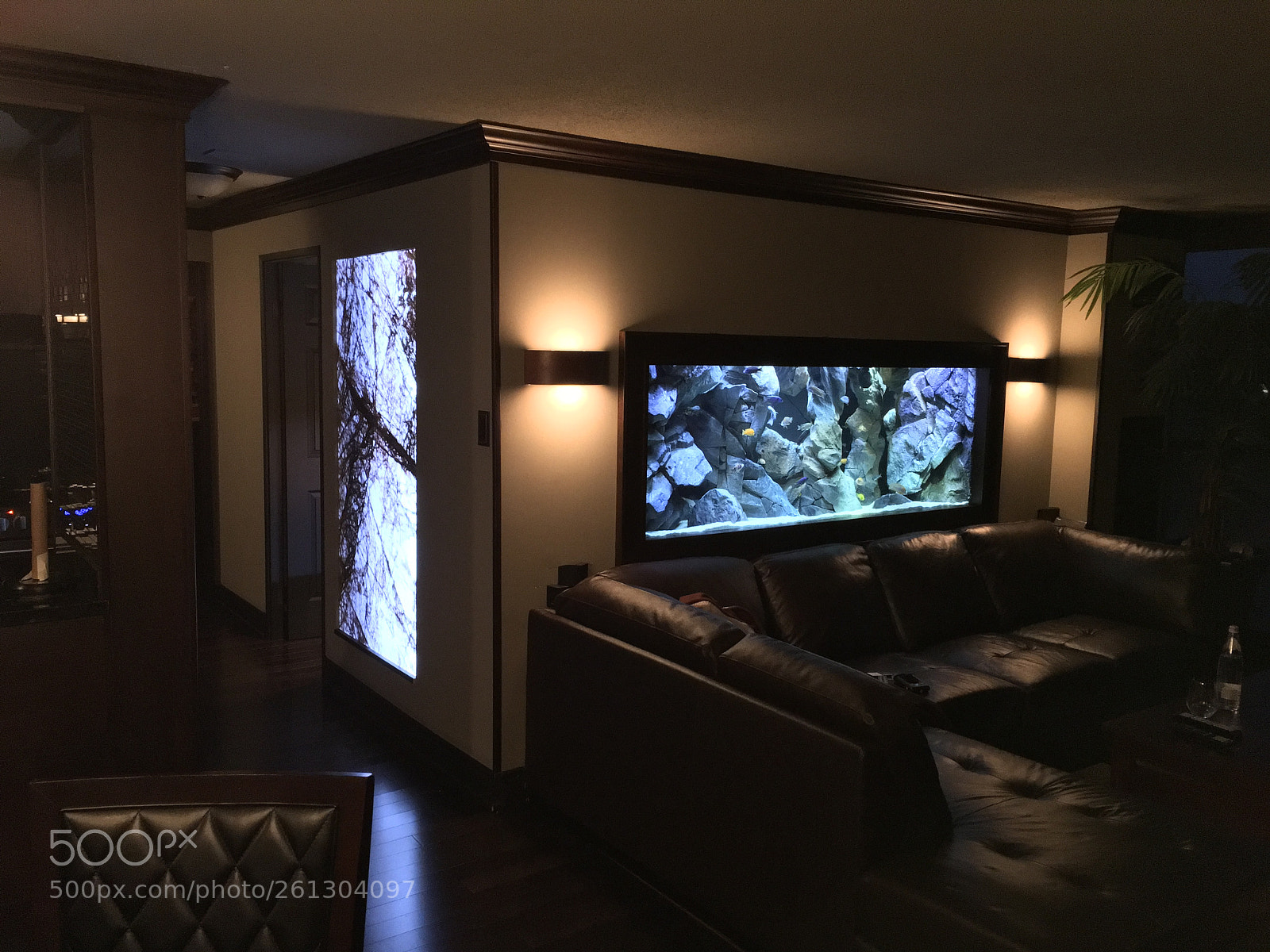 Apple iPhone 6s Plus sample photo. 3559.jpg photography