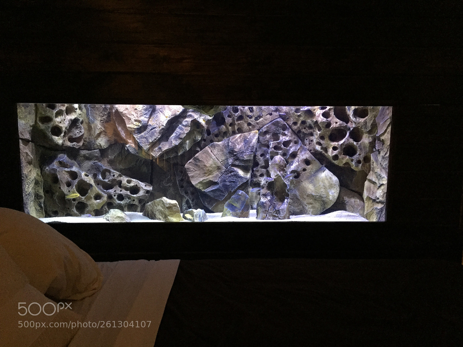 Apple iPhone 6 sample photo. Img photography