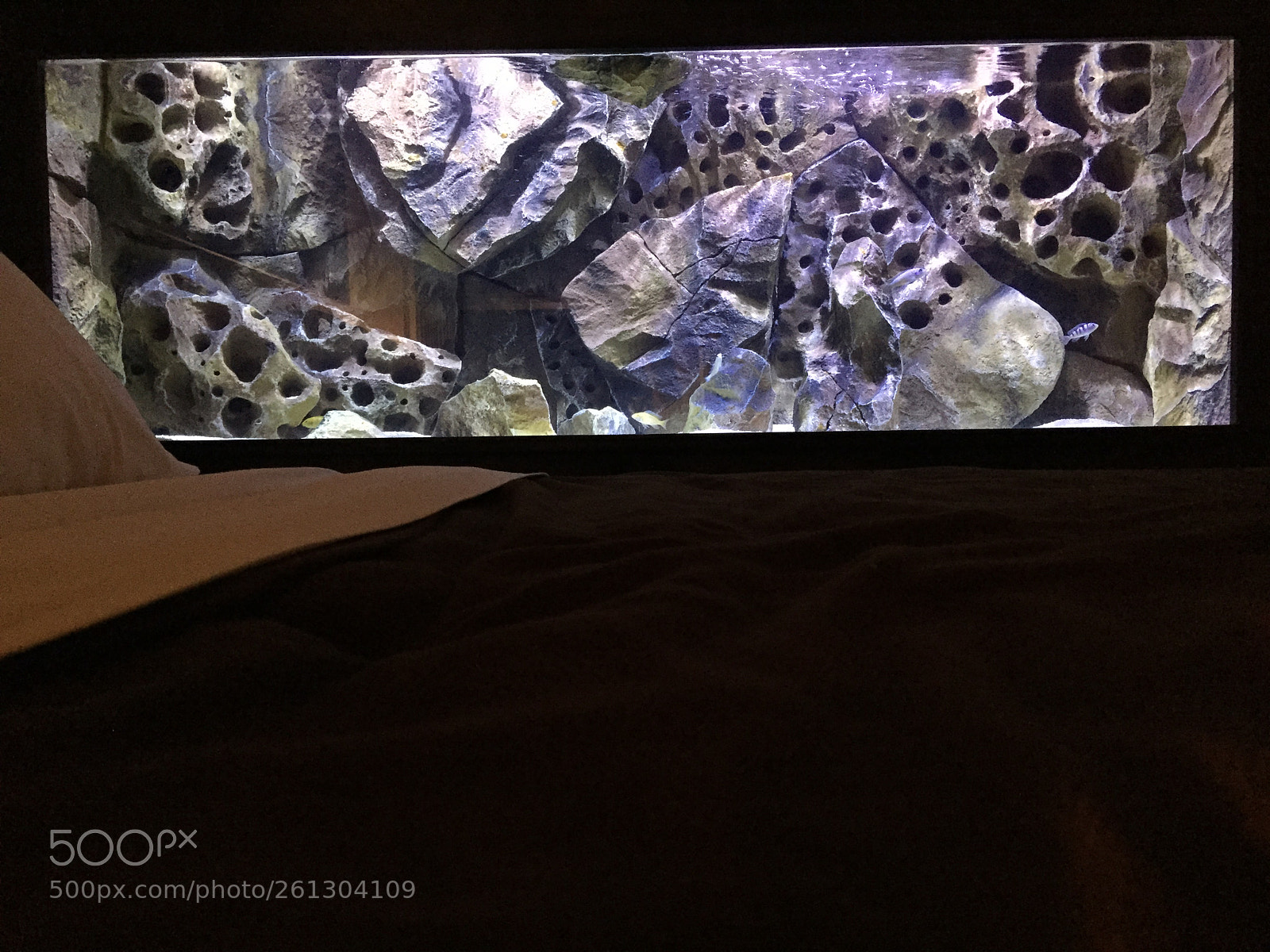 Apple iPhone 6 sample photo. Img photography