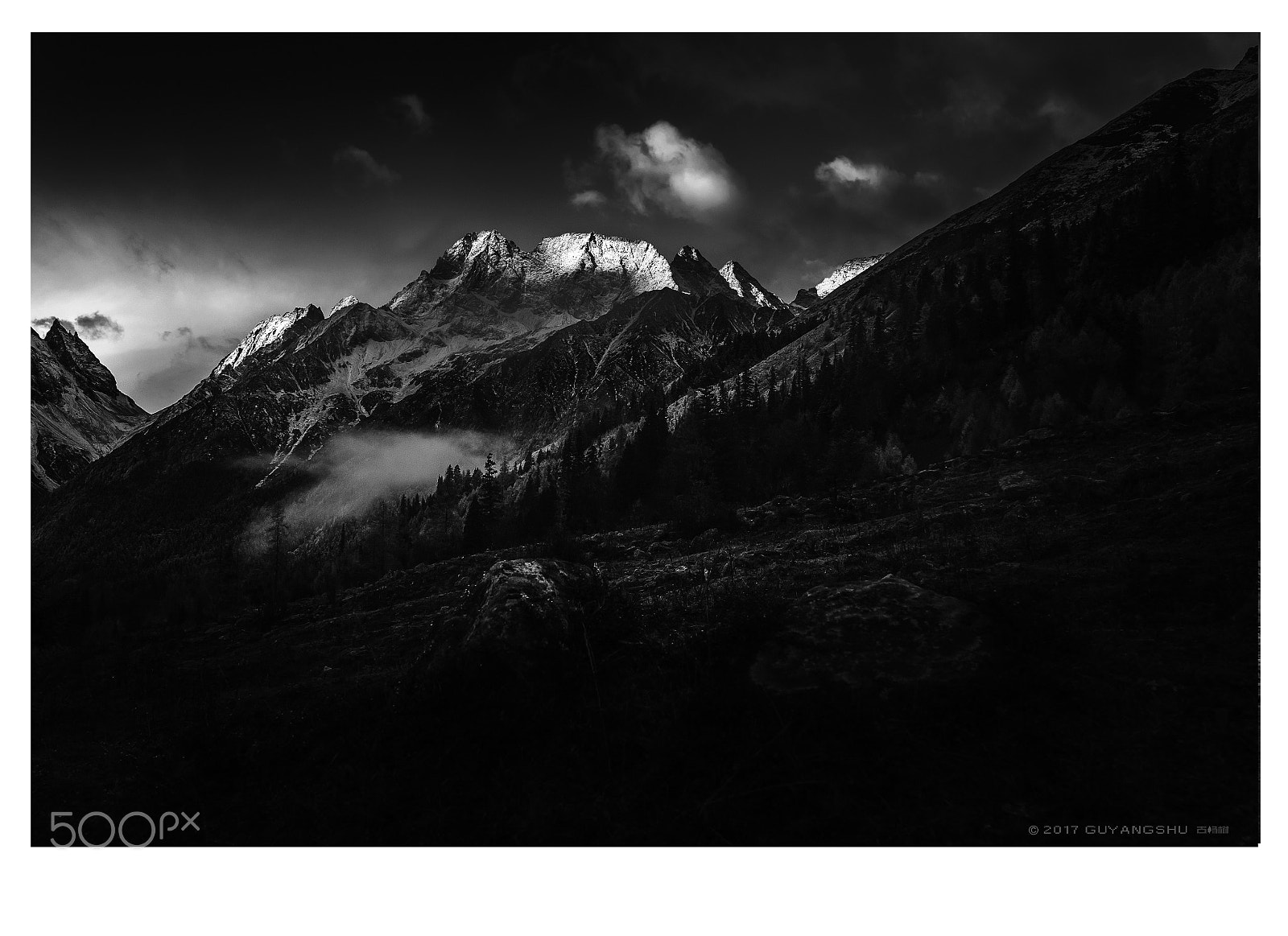 Nikon D300S sample photo. Untitled photography