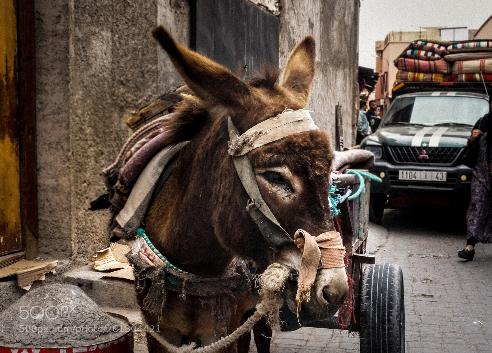 Sony a6000 sample photo. A choiceless worker photography