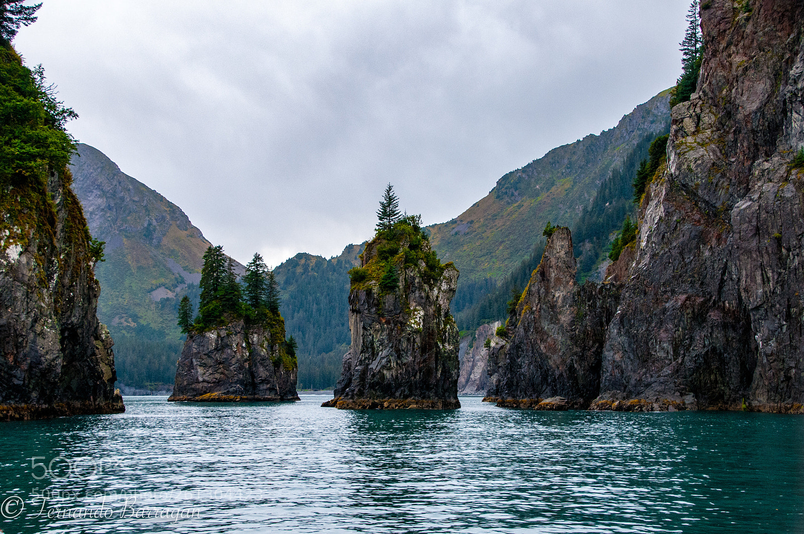 Nikon D300S sample photo. Mar alaska photography