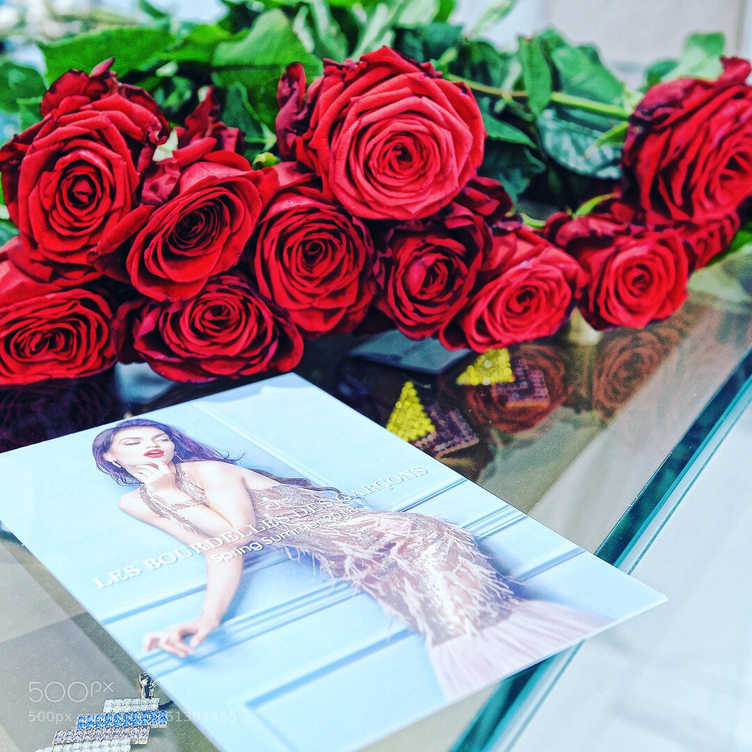 Nikon D3 sample photo. Rose photography