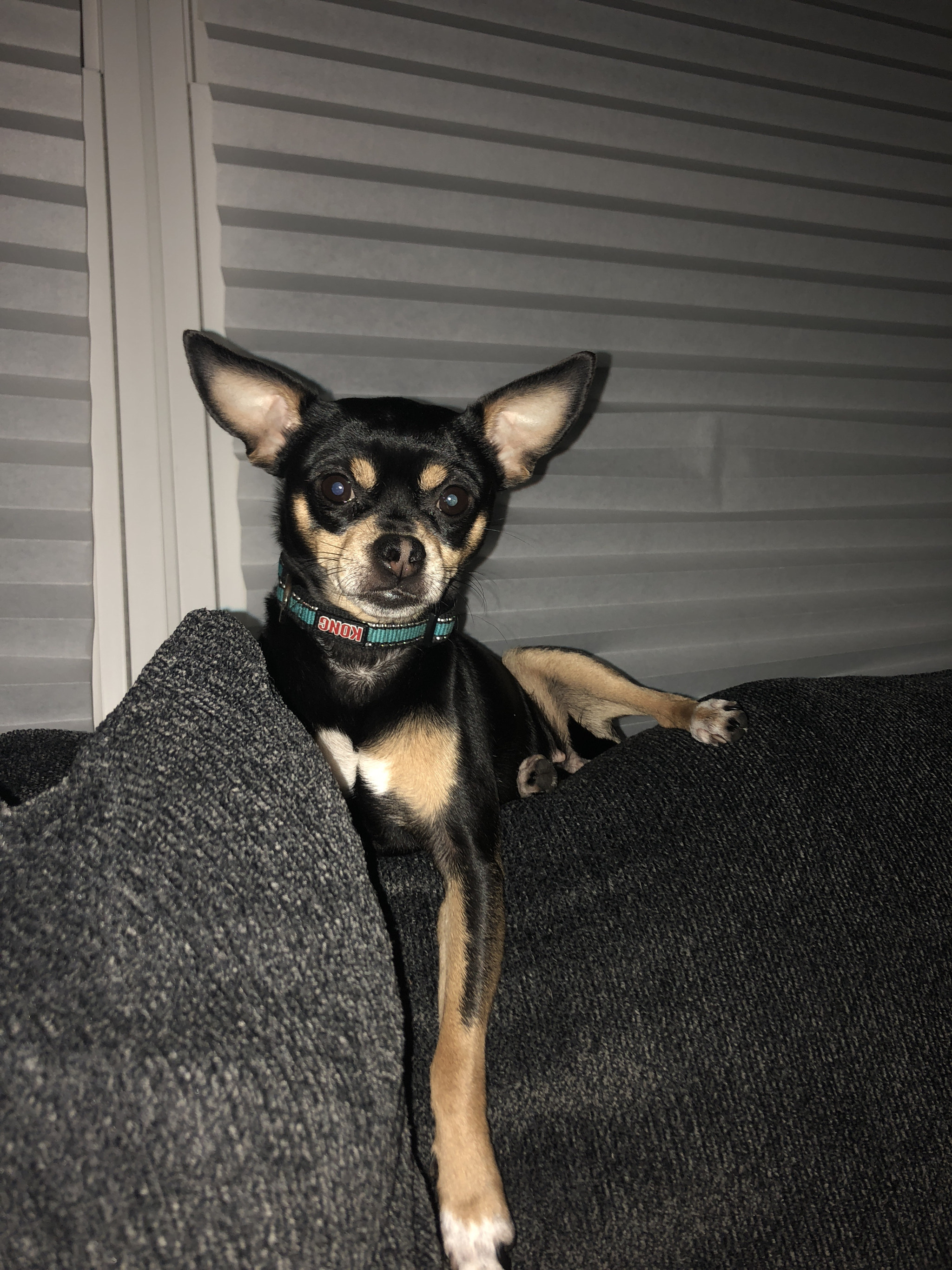 Apple iPhone 8 sample photo