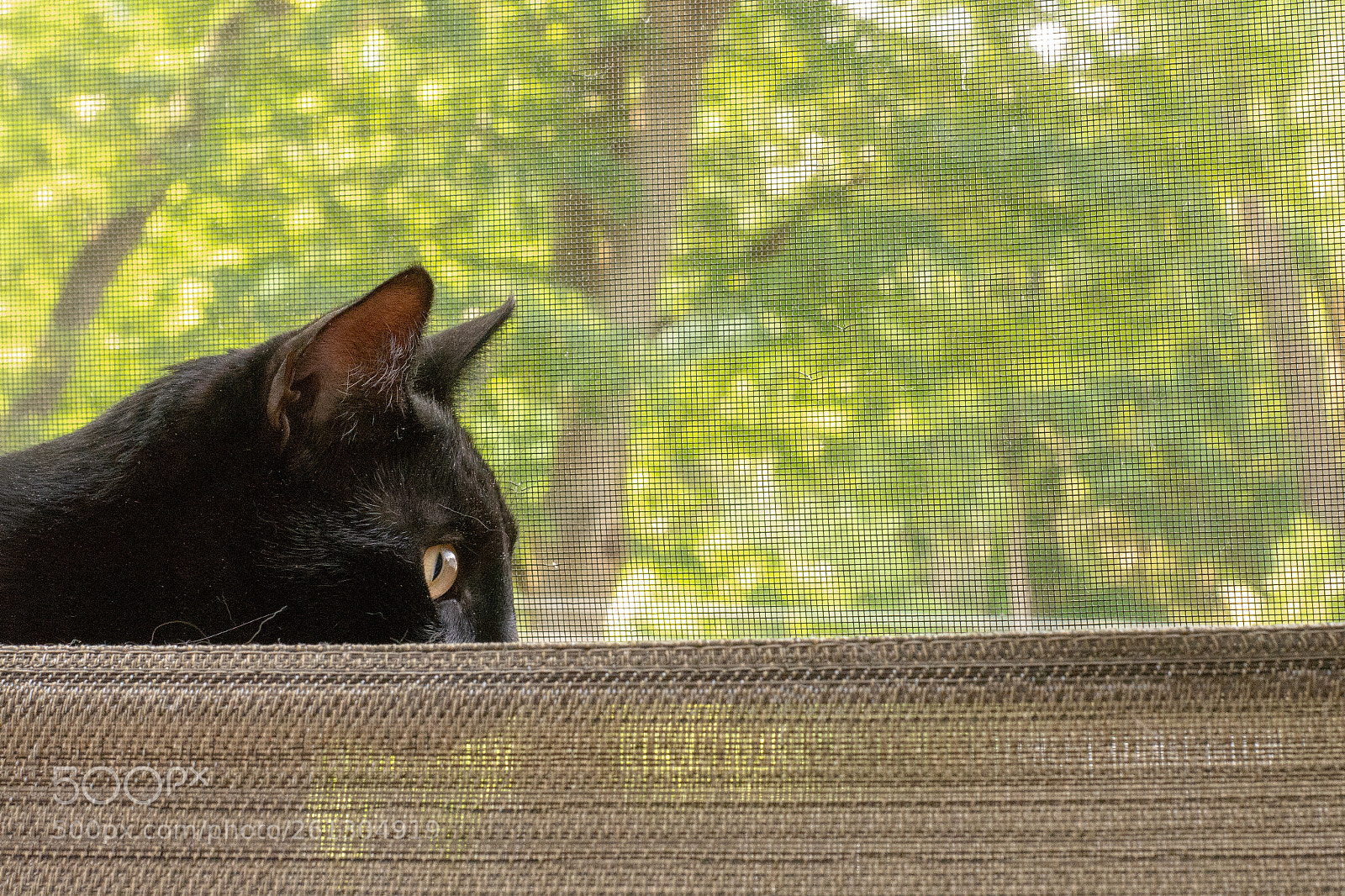 Nikon D7200 sample photo. Dsc photography