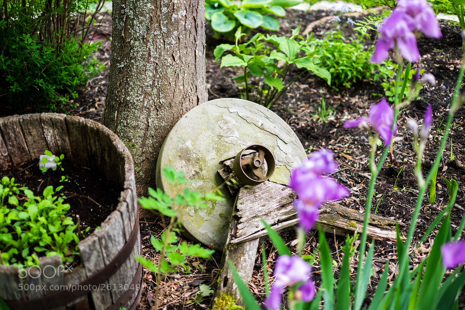 Fujifilm X-T10 sample photo. La roue / the wheel photography