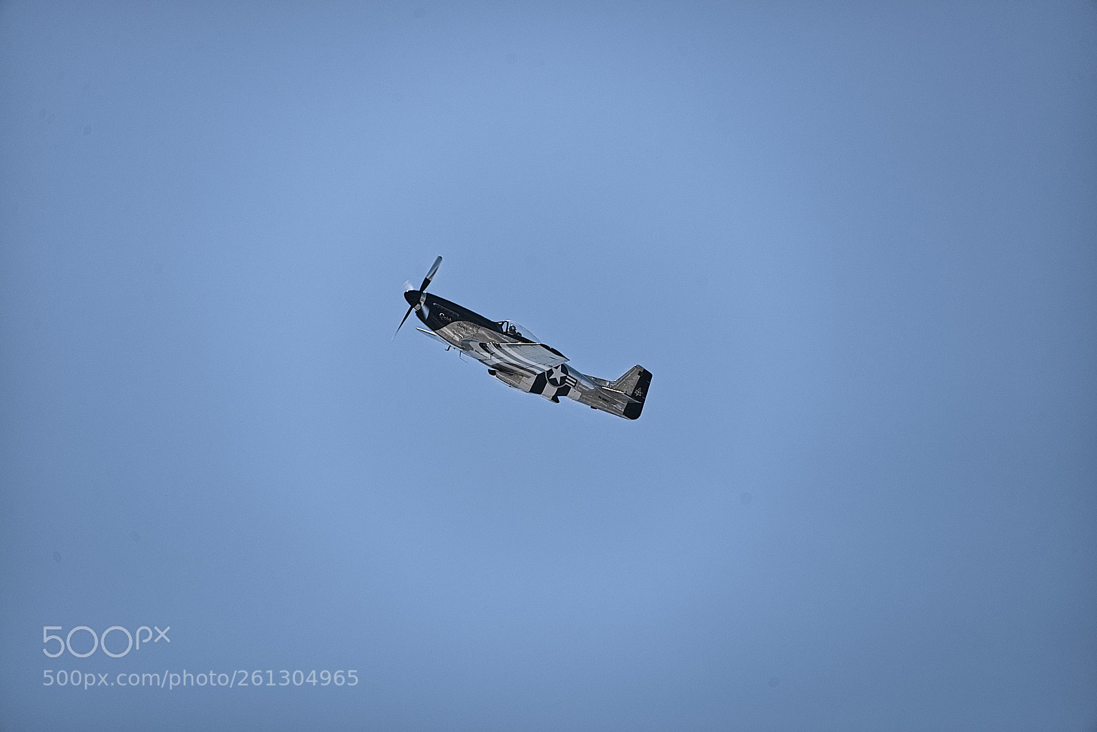 Nikon D600 sample photo. P-51 mustang photography