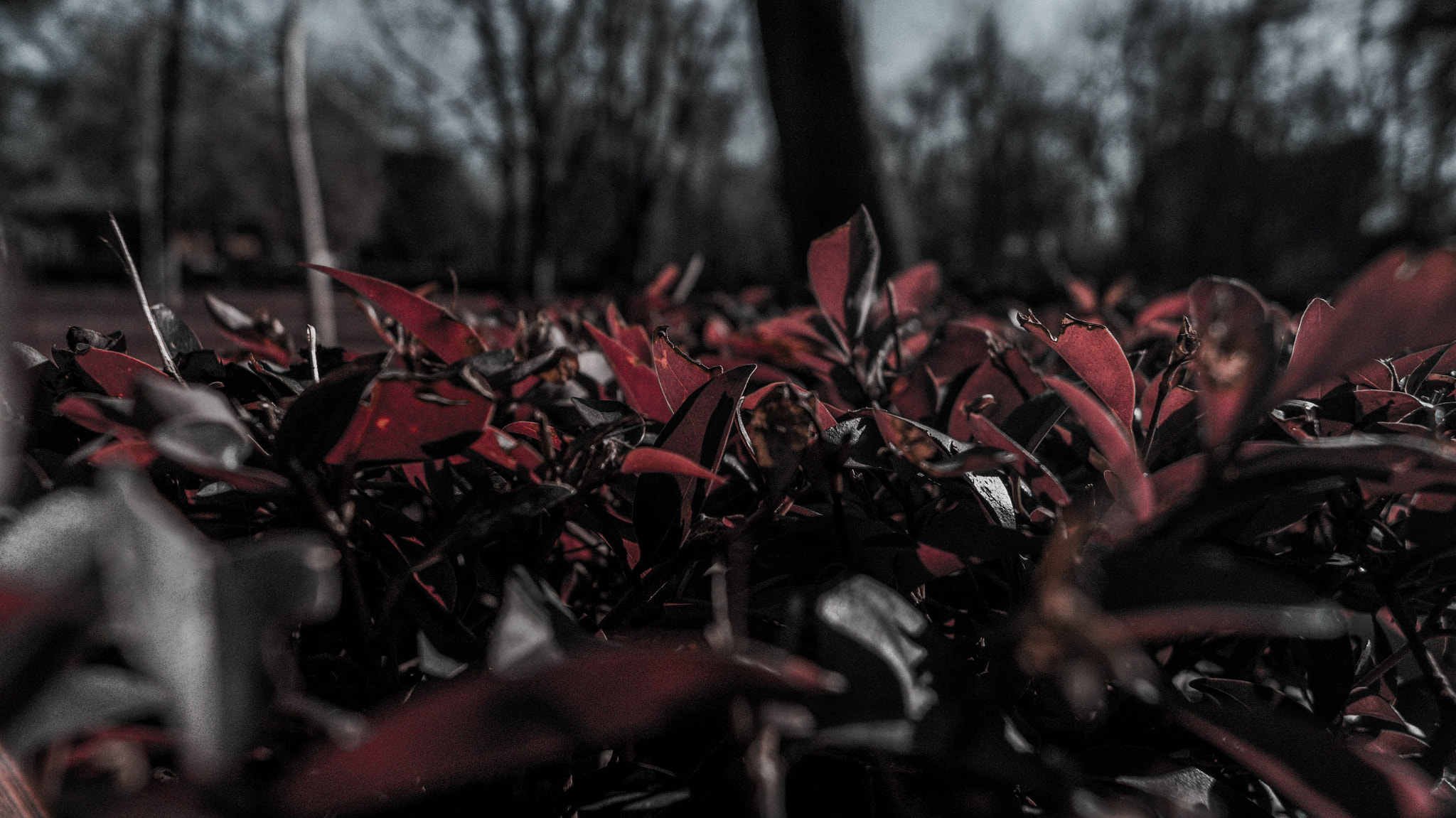 Sony SLT-A37 sample photo. Great visit photography