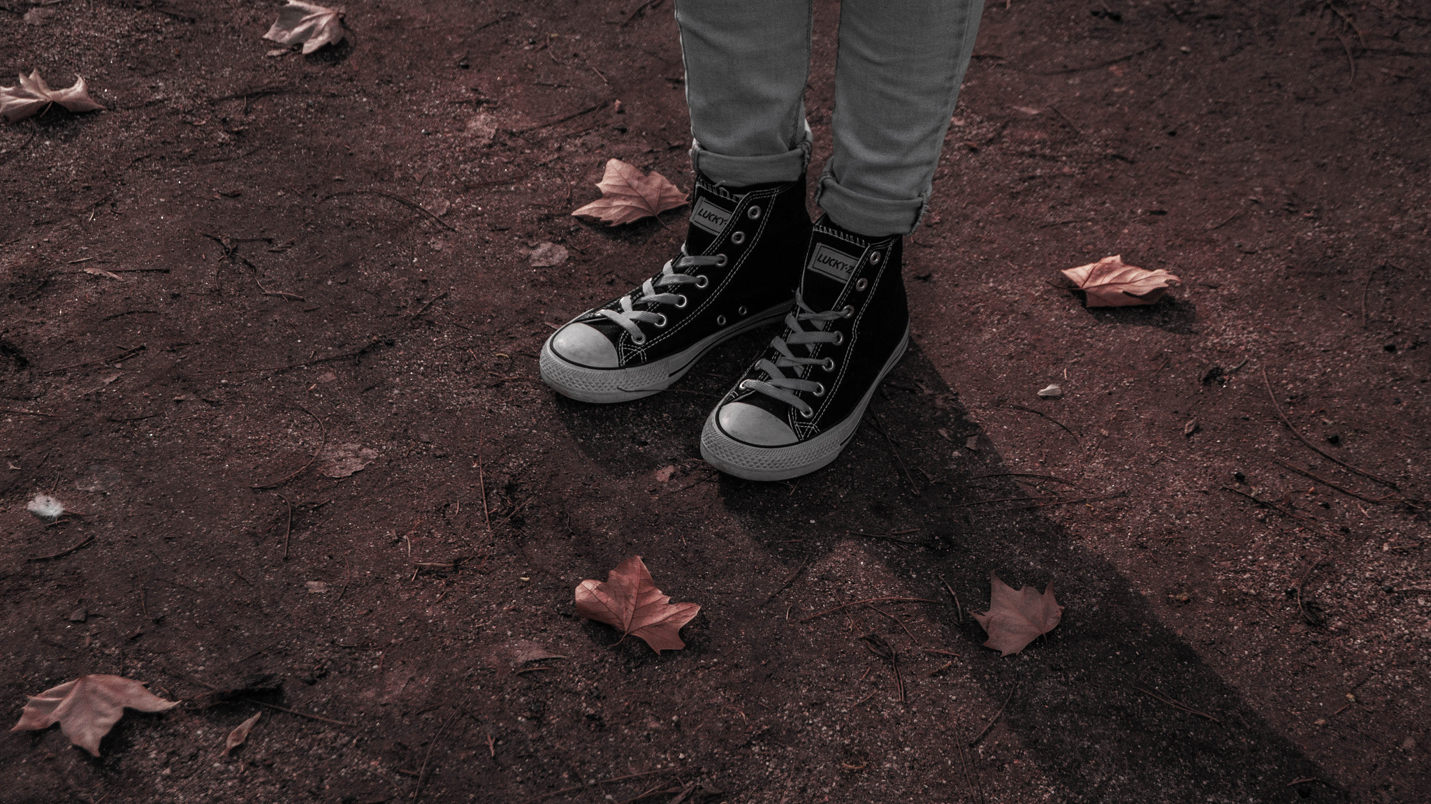 Sony SLT-A37 sample photo. Floor photography