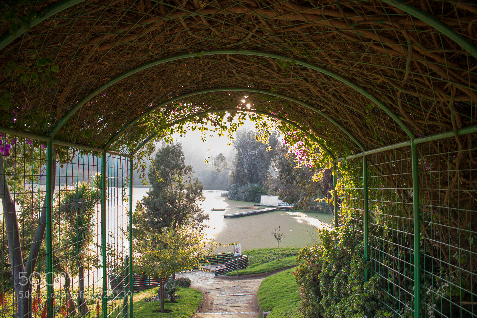 Nikon D3400 sample photo. Sausalito photography
