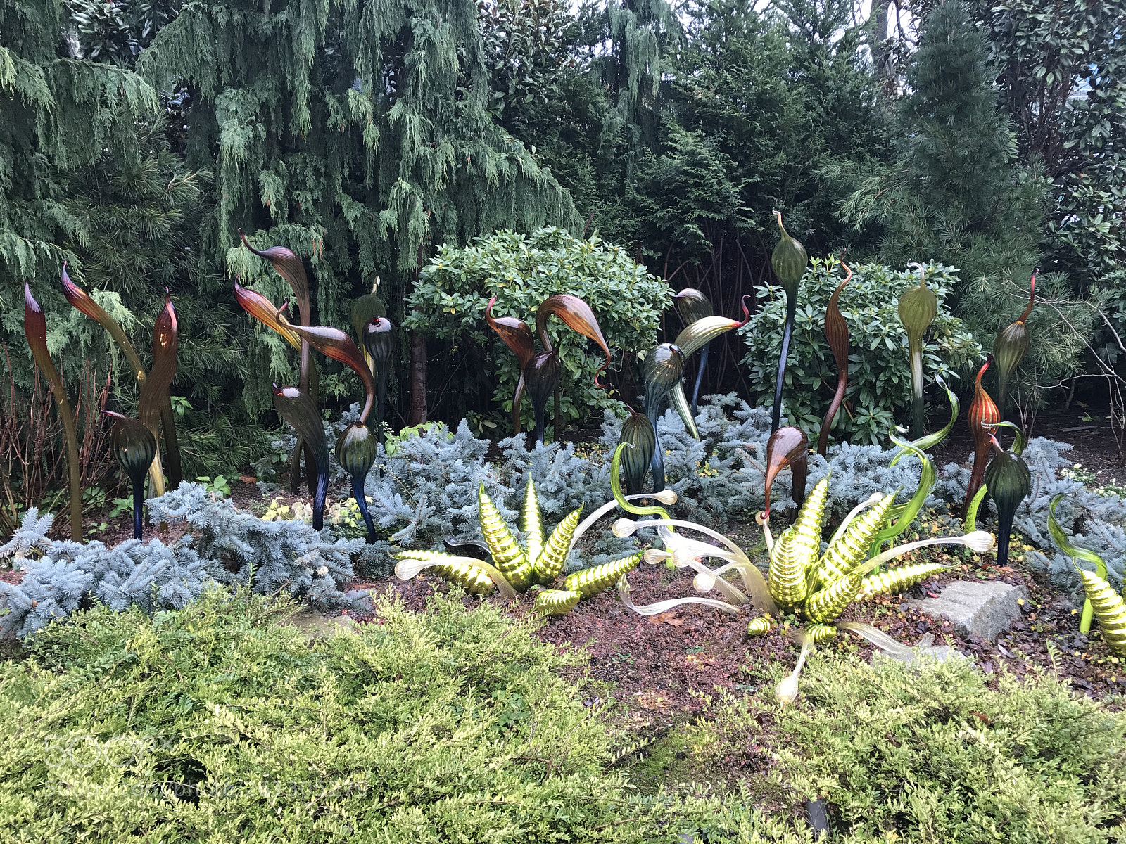 Apple iPhone 7 Plus sample photo. Glass flamingoes photography