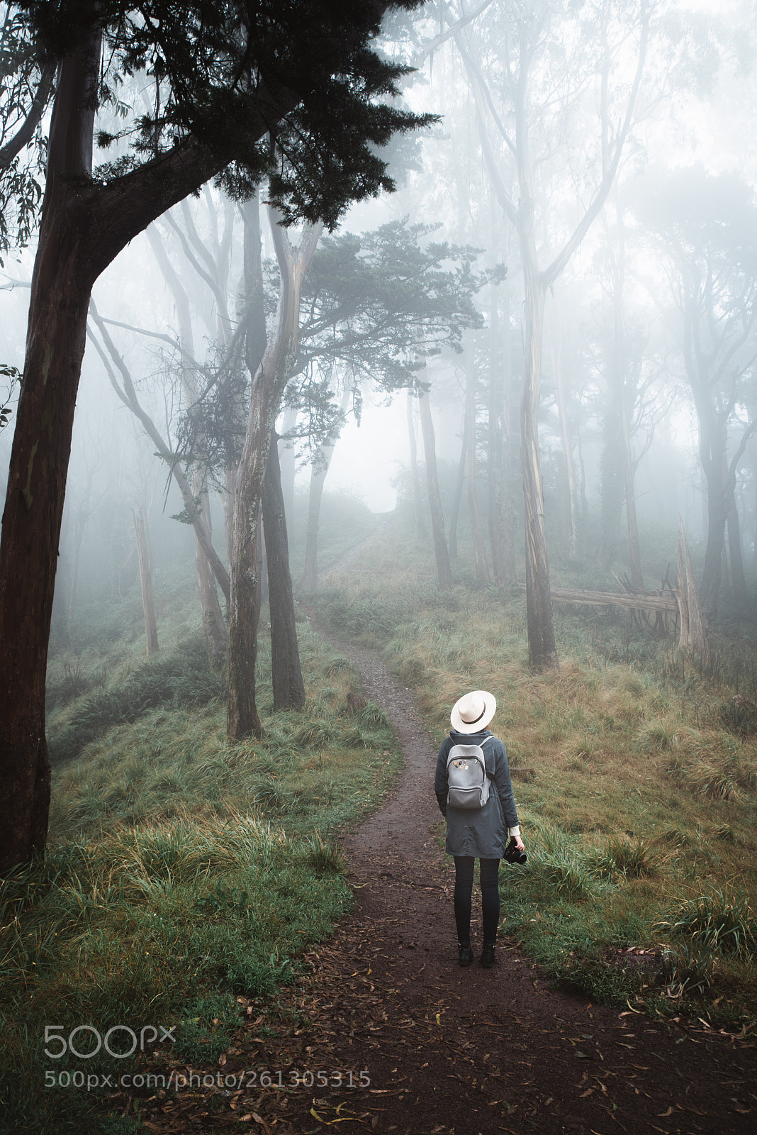 Nikon D750 sample photo. Mt davidson photography