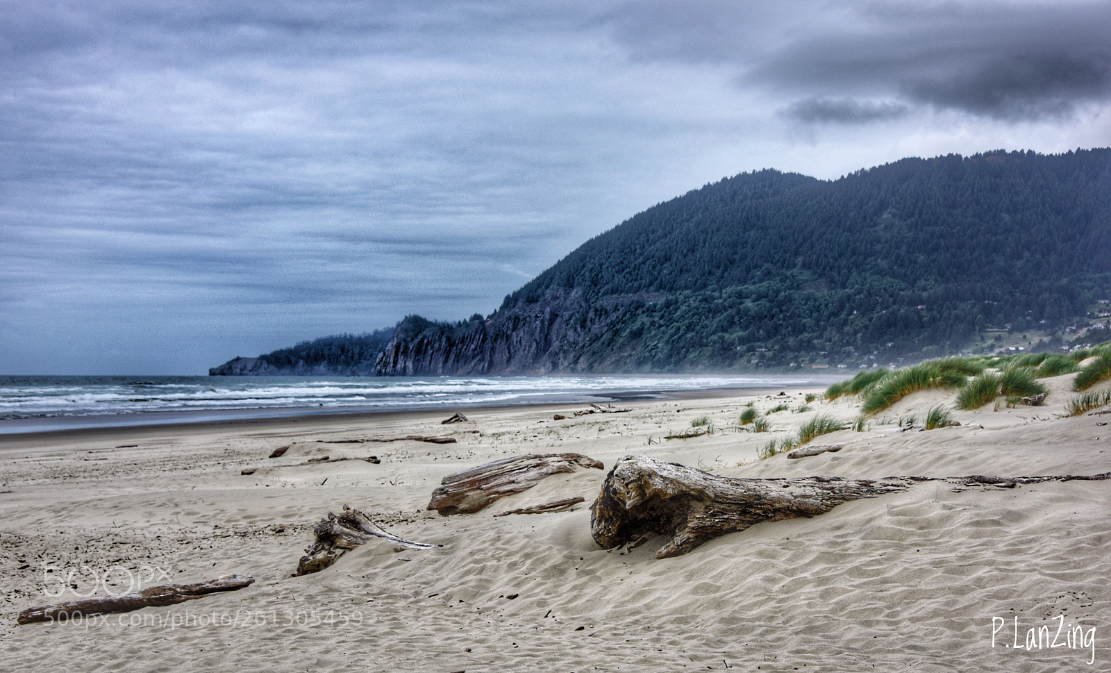 Nikon D810 sample photo. Nehalem beach, oregon photography