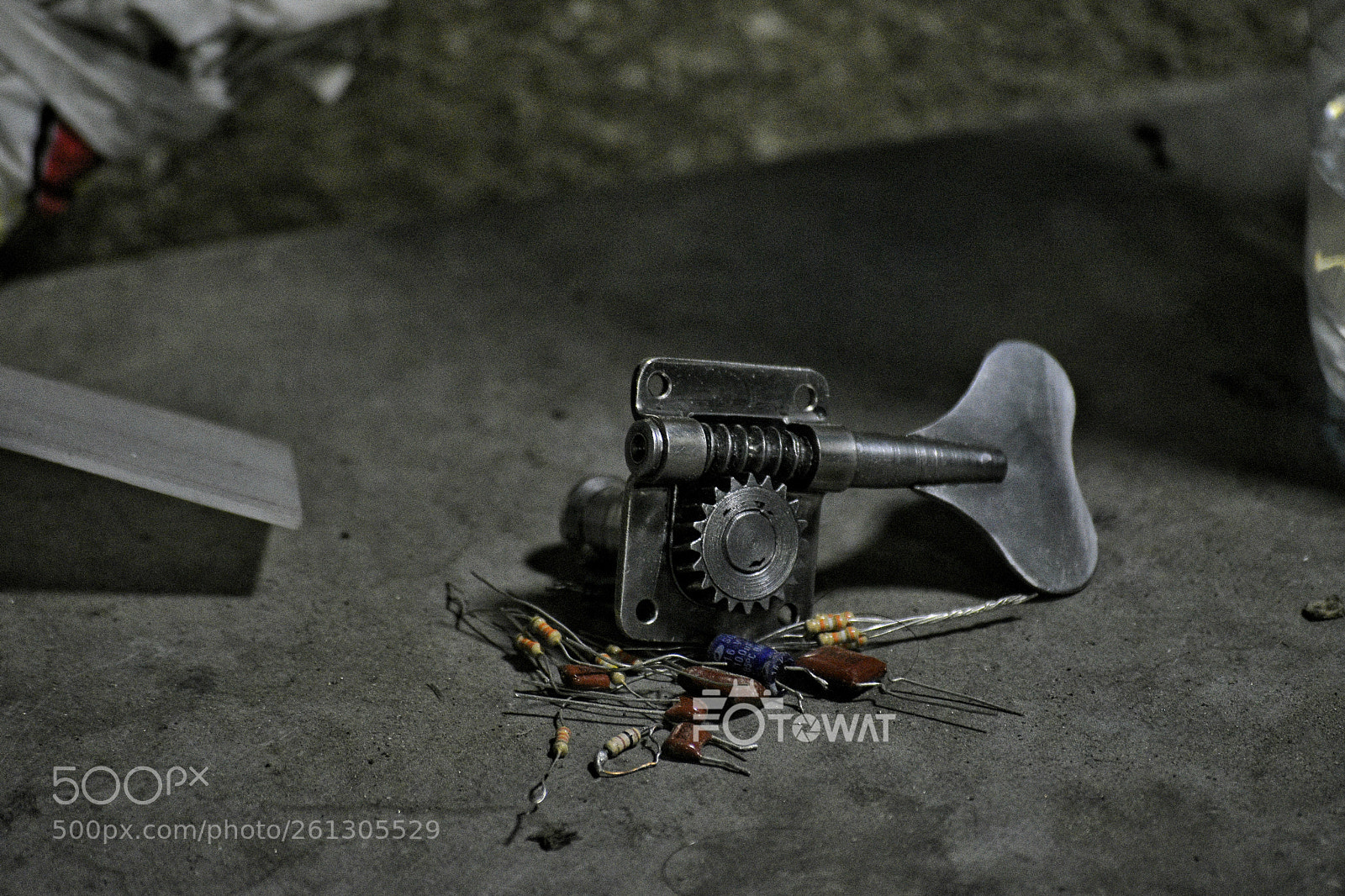 Nikon D5500 sample photo. Untitled photography