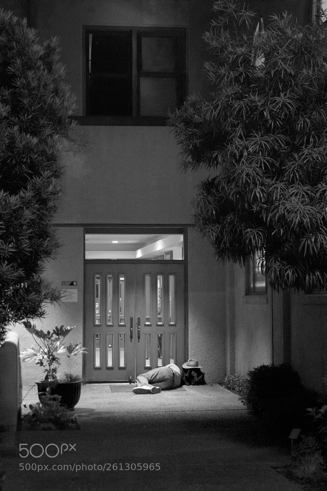 Nikon D3300 sample photo. Homeless in the house photography