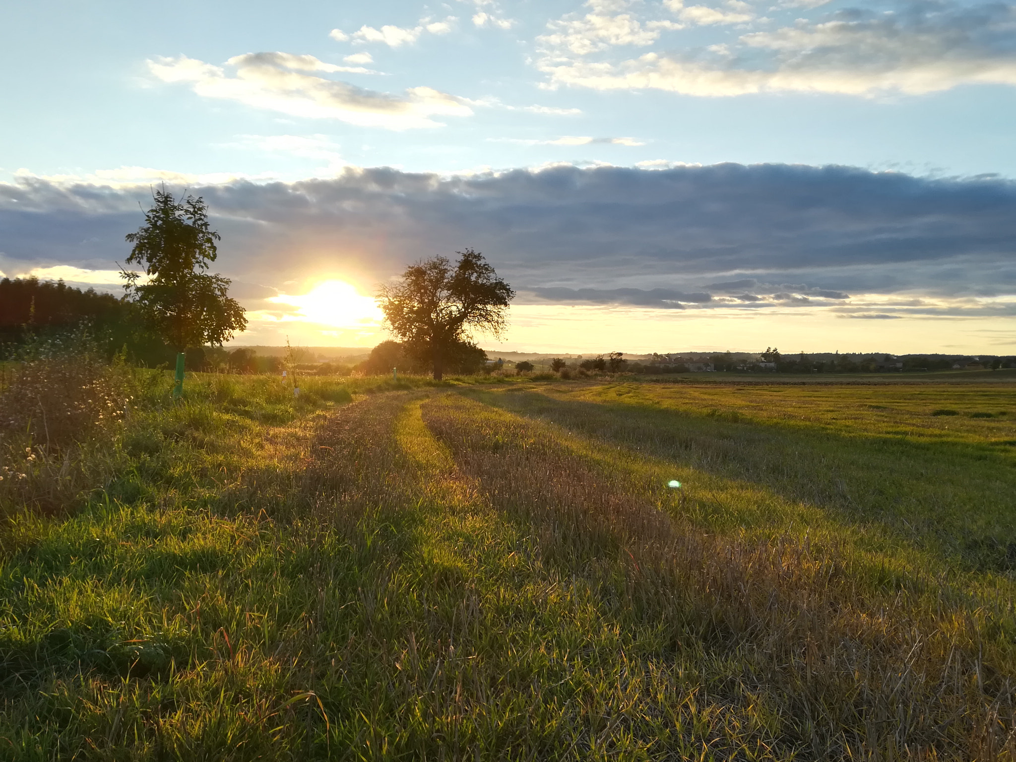 HUAWEI PRA-LX1 sample photo. Sdr photography