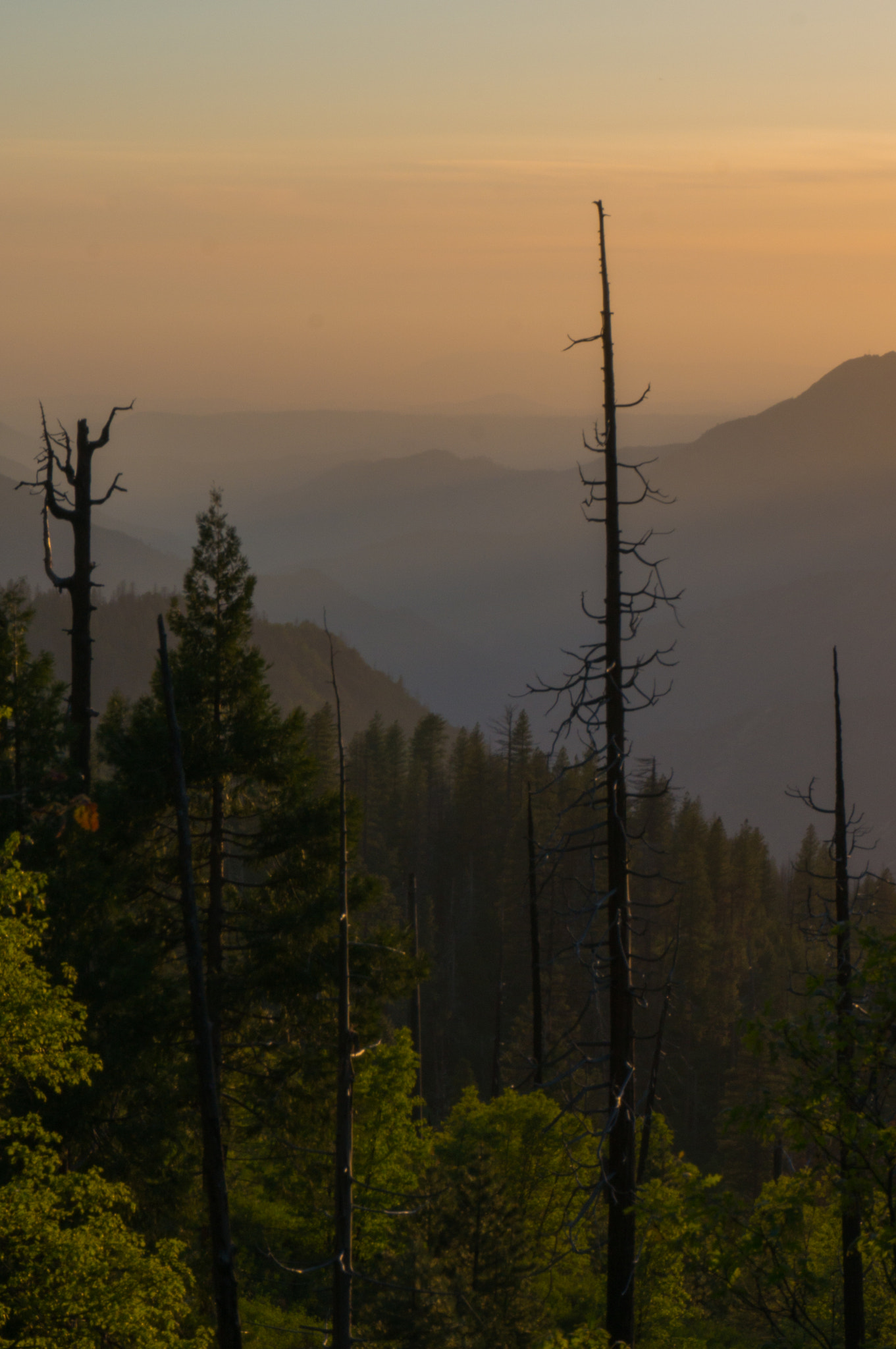 Sony Alpha NEX-5T sample photo. Sunset over yosemite valley photography