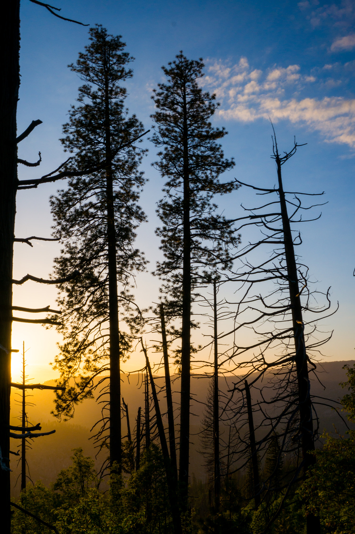 Sony Alpha NEX-5T sample photo. Yosemite valley, golden hour photography