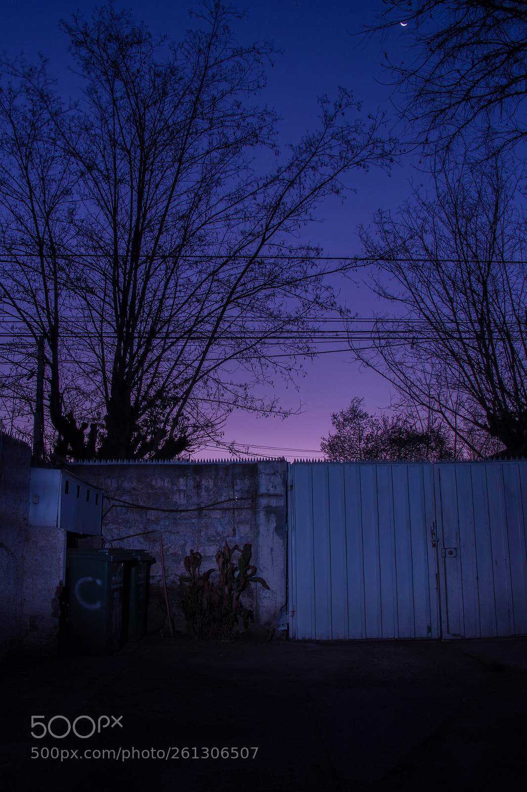 Canon EOS 700D (EOS Rebel T5i / EOS Kiss X7i) sample photo. Light photography